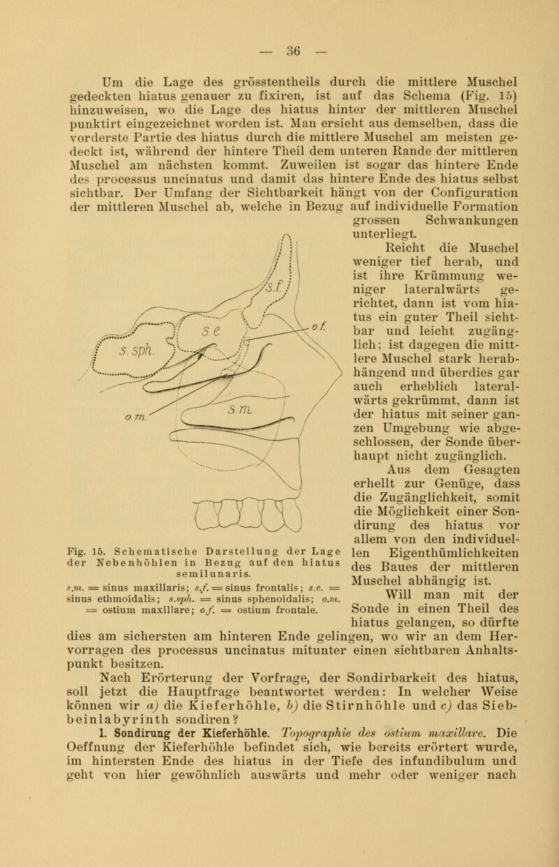 Um die Lage des grösstentheils durch die mittlere Muschel gedeckten hiatus genauer zu fixiren, ist auf das Schema (Fig. 15) hinzuweisen, wo die Lage des hiatus hinter der mittleren Muschel punktirt eingezeichnet worden ist. Man ersieht aus demselben, dass die vorderste Partie des hiatus durch die mittlere Muschel am meisten ge- deckt ist, während der hintere Theil dem unteren Rande der mittleren Muschel am nächsten kommt. Zuweilen ist sogar das hintere Ende des processus uncinatus und damit das hintere Ende des hiatus selbst sichtbar. Der Umfang der Sichtbarkeit hängt von der Configuration der mittleren Muschel ab, welche in Bezug auf individuelle Formation grossen Schwankungen unterliegt. Reicht weniger tief die Muschel herab, und ist ihre Krümmung we- niger lateralwärts ge- richtet, dann ist vom hia- tus ein guter Theil sicht- bar und leicht zugäng- lich; ist dagegen die mitt- lere Muschel stark herab- hängend und überdies gar auch erheblich lateral- wärts gekrümmt, dann ist der hiatus mit seiner gan- zen Umgebung wie abge- schlossen, der Sonde über- haupt nicht zugänglich. Aus dem Gesagten erhellt zur Genüge, dass die Zugänglichkeit, somit die Möglichkeit einer Son- dirung des hiatus vor allem von den individuel- len Eigentümlichkeiten des Baues der mittleren Muschel abhängig ist. Will man mit der Sonde in einen Theil des hiatus gelangen, so dürfte dies am sichersten am hinteren Ende gelingen, wo wir an dem Her- vorragen des processus uncinatus mitunter einen sichtbaren Anhalts- punkt besitzen. Nach Erörterung der Vorfrage, der Sondirbarkeit des hiatus, soll jetzt die Hauptfrage beantwortet werden: In welcher Weise können wir a) die Kieferhöhle, b) die Stirnhöhle und c) das Sieb- beinlabyrinth sondiren? 1. Sondirung der Kieferhöhle. Topographie des ostium maxillare. Die Oeffnung der Kieferhöhle befindet sich, wie bereits erörtert wurde, im hintersten Ende des hiatus in der Tiefe des infundibulum und geht von hier gewöhnlich auswärts und mehr oder weniger nach Fig. 15. Schematische Darstellung der Lage der Nebenhöhlen in Bezug auf den hiatus semilunaris. s.m. = sinus maxillaris; s.f. = sinus frontalis; s.e. = sinus ethmoidalis; s.sph. = sinus sphenoidalis; o.m. = ostium maxillare; o.f. = ostium frontale.