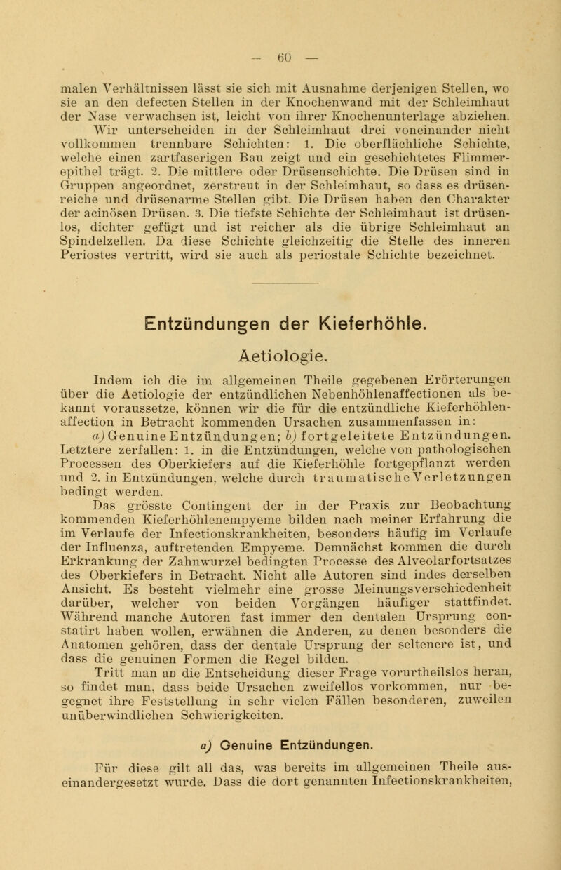 malen Verhältnissen lässt sie sich mit Ausnahme derjenigen Stellen, wo sie an den defecten Stellen in der Knochenwand mit der Schleimhaut der Nase verwachsen ist, leicht von ihrer Knochenunterlage abziehen. Wir unterscheiden in der Schleimhaut drei voneinander nicht vollkommen trennbare Schichten: 1. Die oberflächliche Schichte, welche einen zartfaserigen Bau zeigt und ein geschichtetes Flimmer- epithel trägt. 2. Die mittlere oder Drüsenschichte. Die Drüsen sind in Gruppen angeordnet, zerstreut in der Schleimhaut, so dass es drüsen- reiche und drüsenarme Stellen gibt. Die Drüsen haben den Charakter der acinösen Drüsen. 3. Die tiefste Schichte der Schleimhaut ist drüsen- los, dichter gefügt und ist reicher als die übrige Schleimhaut an Spindelzellen. Da diese Schichte gleichzeitig die Stelle des inneren Periostes vertritt, wird sie auch als periostale Schichte bezeichnet. Entzündungen der Kieferhöhle. Aetiologie. Indem ich die im allgemeinen Theile gegebenen Erörterungen über die Aetiologie der entzündlichen Nebenhöhlenaffectionen als be- kannt voraussetze, können wir die für die entzündliche Kieferhöhlen- affection in Betracht kommenden Ursachen zusammenfassen in: a) GenuineEntzündungen; b) fortgeleitete Entzündungen. Letztere zerfallen: 1. in die Entzündungen, welche von pathologischen Processen des Oberkiefers auf die Kieferhöhle fortgepflanzt werden und 2. in Entzündungen, welche durch traumatische Verletzungen bedingt werden. Das grösste Contingent der in der Praxis zur Beobachtung kommenden Kieferhöhlenempyeme bilden nach meiner Erfahrung die im Verlaufe der Infectionskrankheiten, besonders häufig im Verlaufe der Influenza, auftretenden Empyeme. Demnächst kommen die durch Erkrankung der Zahnwurzel bedingten Processe des Alveolarfortsatzes des Oberkiefers in Betracht. Nicht alle Autoren sind indes derselben Ansicht. Es besteht vielmehr eine grosse Meinungsverschiedenheit darüber, welcher von beiden Vorgängen häufiger stattfindet. Während manche Autoren fast immer den dentalen Ursprung con- statirt haben wollen, erwähnen die Anderen, zu denen besonders die Anatomen gehören, dass der dentale Ursprung der seltenere ist, und dass die genuinen Formen die Regel bilden. Tritt man an die Entscheidung dieser Frage vorurtheilslos heran, so findet man, dass beide Ursachen zweifellos vorkommen, nur be- gegnet ihre Feststellung in sehr vielen Fällen besonderen, zuweilen unüberwindlichen Schwierigkeiten. a) Genuine Entzündungen. Für diese gilt all das, was bereits im allgemeinen Theile aus- einandergesetzt wurde. Dass die dort genannten Infectionskrankheiten,