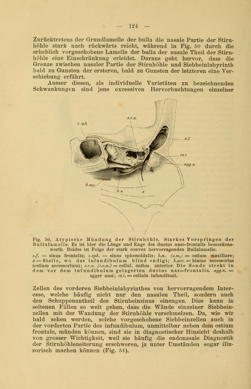 Zurücktretens der Grimcllamelle der bulla die nasale Partie der Stirn- höhle stark nach rückwärts reicht, während in Fig. 50 durch die erheblich vorgeschobene Lamelle der bulla der nasale Theil der Stirn- höhle eine Einschränkung erleidet. Daraus geht hervor, dass die Grenze zwischen nasaler Partie der Stirnhöhle und Siebbeinlabyrinth bald zu Gunsten der ersteren, bald zu Gunsten der letzteren eine Ver- schiebung erfährt. Ausser diesen, als individuelle Varietäten zu bezeichnenden Schwankungen sind jene excessiven Hervorbuchtungen einzelner Fig. 50. Atypische Mündung der Stirnhöhle. Starkes Vorspringen der Bullalamelle. Es ist hier die Länge und Enge des ductus naso-frontalis bemerkens- werth. Beides ist Folge der stark convex hervorragenden Bullalamelle. s.f. = sinus frontalis; s.sph. = sinus sphenoidalis; h.n. (o.m.) = ostium maxillare; x = Stelle, wo das infundibulum blind endigt; h.acc. = hiatus accessorius (ostium accessorium); s.e.a. (c.e.a.) ==■ cellul. enthm. anterior. Die Sonde steckt in dem vor dem infundibulum gelagerten ductus naso-frontalis. agg.n. = agger nasi; ce.i. — cellula infundibuli. Zellen des vorderen Siebbeinlabyrinthes von hervorragendem Inter- esse, welche häufig nicht nur den nasalen Theil, sondern auch den Schuppenantheil des Stirnbeinsinus einengen. Dies kann in seltenen Fällen so weit gehen, dass die Wände einzelner Siebbein- zellen mit der Wandung der Stirnhöhle verschmelzen. Da, wie wir bald sehen werden, solche vorgeschobene Siebbeinzellen auch in der vorderten Partie des infundibulum, unmittelbar neben dem ostium frontale, münden können, sind sie in diagnostischer Hinsicht deshalb von grosser Wichtigkeit, weil sie häufig die endonasale Diagnostik der Stirnhöhleneiterung erschweren, ja unter Umständen sogar illu- sorisch machen können (Fig. 51).
