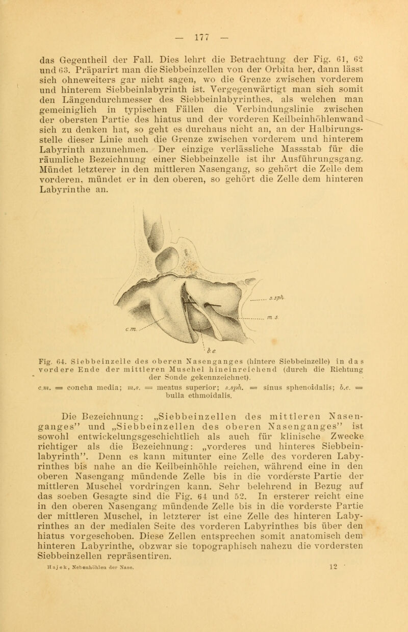 das Gegentheil der Fall. Dies lehrt die Betrachtung der Fig. 61, 62 und 63. Präparirt man die Siebbeinzellen von der Orbita her, dann lässt sich ohneweiters gar nicht sagen, wo die Grenze zwischen vorderem und hinterem Siebbeinlabyrinth ist. Vergegenwärtigt man sich somit den Längendurchmesser des Siebbeinlabyrinthes, als welchen man gemeiniglich in typischen Fällen die Verbindungslinie zwischen der obersten Partie des hiatus und der vorderen Keilbeinhöhlenwand sich zu denken hat, so geht es durchaus nicht an, an der Halbirungs- stelle dieser Linie auch die Grenze zwischen vorderem und hinterem Labyrinth anzunehmen. Der einzige verlässliche Massstab für die räumliche Bezeichnung einer Siebbeinzelle ist ihr Ausführungsgang. Mündet letzterer in den mittleren Nasengang, so gehört die Zelle dem vorderen, mündet er in den oberen, so gehört die Zelle dem hinteren Labyrinthe an. s.sph Fig. 64. Siebbeinzelle des oberen Nasenganges (hintere Siebbeinzelle) in das vordere Ende der mittleren Muschel hineinreichend (durch die Richtimg der Sonde gekennzeichnet). c.m. = concha media; m.s. = meatus superior; s.sph. = sinus sphenoidalis; b.e. = bulla ethmoidalis. Die Bezeichnung: „Siebbeinzellen des mittleren Nasen- ganges und „Siebbeinzellen des oberen Nasenganges ist sowohl entwickelungsgeschichtlich als auch für klinische Zwecke richtiger als die Bezeichnung: „vorderes und hinteres Siebbein- labyrinth. Denn es kann mitunter eine Zelle des vorderen Laby- rinthes bis nahe an die Keilbeinhöhle reichen, während eine in den oberen Nasengang mündende Zelle bis in die vorderste Partie der mittleren Muschel vordringen kann. Sehr belehrend in Bezug auf das soeben Gesagte sind die Fig. 64 und 52. In ersterer reicht eine in den oberen Nasengang mündende Zelle bis in die vorderste Partie der mittleren Muschel, in letzterer ist eine Zelle des hinteren Laby- rinthes an der medialen Seite des vorderen Labj^rinthes bis über den hiatus vorgeschoben. Diese Zellen entsprechen somit anatomisch dem hinteren Labyrinthe, obzwar sie topographisch nahezu die vordersten Siebbeinzellen repräsentiren. Hajek, Nebenhöhlen der Xase. 12