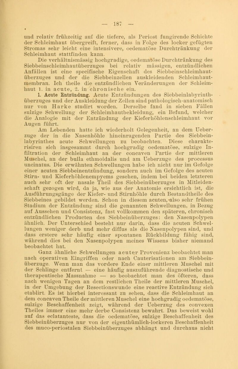 und relativ frühzeitig auf die tiefere, als Periost fungirende Schichte der Schleimhaut übergreift, ferner, dass in Folge des locker gefügten Stromas sehr leicht eine intensivere, oedematöse Durchtränkung der Schleimhaut stattfinden kann. Die verhältnismässig hochgradige, oedematöse Durchtränkimg des Siebbeinschleimhautüberzuges bei relativ massigen, entzündlichen Anfällen ist eine specifische Eigenschaft des Siebbeinschleimhaut- überzuges und der die Siebbeinzellen auskleidenden Schleimhaut- membran. Ich theile die entzündlichen Veränderungen der Schleim- haut 1. in acute, 2. in chronische ein. 1. Acute Entzündung. Acute Entzündungen des Siebbeinlabyrinth- überzuges und der Auskleidung der Zellen sind pathologisch-anatomisch nur von Harke studirt worden. Derselbe fand in sieben Fällen sulzige Schwellung der Schleimhautbekleidung, ein Befund, welcher die Analogie mit der Entzündung der Kieferhöhlenschleimhaut vor Augen führt. Am Lebenden hatte ich wiederholt Gelegenheit, an dem Ueber- zuge der in die Nasenhöhle hineinragenden Partie des Siebbein- labyrinthes acute Schwellungen zu beobachten. Diese charakte- risiren sich insgesammt durch hochgradig oedematöse, sulzige In- filtration der Schleimhaut an der concaven Partie der mittleren Muschel, an der bulla ethmoidalis und am Ueberzuge des processus uncinatus. Die erwähnten Schwellungen habe ich nicht nur im Gefolge einer acuten Siebbeinentzündung, sondern auch im Gefolge des acuten Stirn- und Kieferhöhlenempyems gesehen, indem bei beiden letzteren auch sehr oft der nasale Theil des Siebbeinüberzuges in Mitleiden- schaft gezogen wird, da ja, wie aus der Anatomie ersichtlich ist, die Ausführungsgänge der Kiefer- und Stirnhöhle durch Bestandteile des Siebbeines gebildet werden. Schon in diesem acuten,-also sehr frühen Stadium der Entzündung sind die genannten Schwellungen, in Bezug auf Aussehen und Consistenz, fast vollkommen den späteren, chronisch entzündlichen Producten des Siebbeinüberzuges: den Nasenpolypen ähnlich. Der Unterschied besteht nur darin, dass die acuten Schwel- lungen weniger derb und mehr diffus als die Nasenpolypen sind, und dass erstere sehr häufig einer spontanen Rückbildung fähig sind, während dies bei den Nasenpolypen meines Wissens bisher niemand beobachtet hat. Ganz ähnliche Schwellungen acuter Provenienz beobachtet man nach operativen Eingriffen oder nach Cauterisationen am Siebbein- Überzuge. Wenn man das vordere Ende einer mittleren Muschel mit der Schlinge entfernt — eine häufig auszuführende diagnostische und therapeutische Massnahme — so beobachtet man des öfteren, dass nach wenigen Tagen an dem restlichen Theile der mittleren Muschel, in der Umgebung der Resectionswunde eine reactive Entzündung sich etablirt. Es ist hierbei interessant zu sehen, dass die Schleimhaut an dem concaven Theile der mittleren Muschel eine hochgradig oedematöse, sulzige Beschaffenheit zeigt, während der Ueberzug des convexen Theiles immer eine mehr derbe Consistenz bewahrt. Das beweist wohl auf das eclatanteste, dass die oedematöse, sulzige Beschaffenheit des Siebbeinüberzuges nur von der eigenthümlich-lockeren Beschaffenheit des muco-periostalen Siebbeinüberzuges abhängt und durchaus nicht