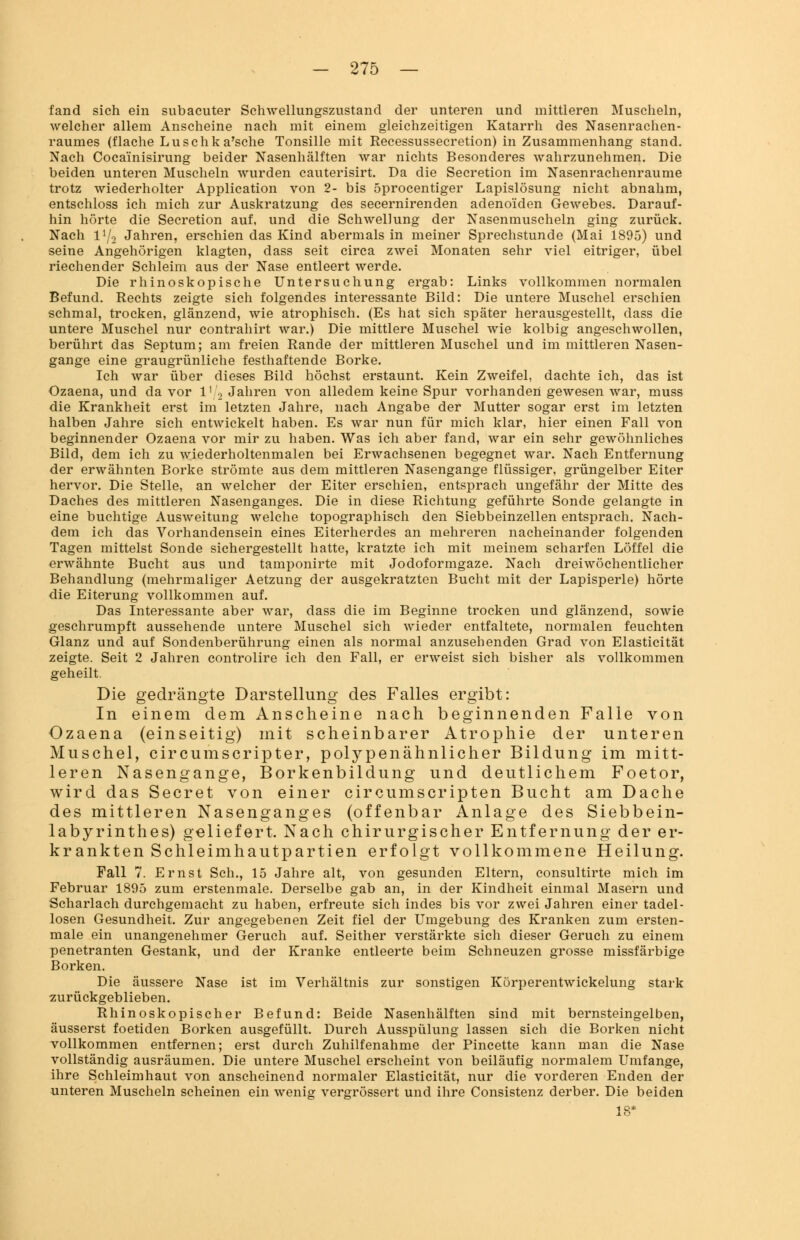 fand sich ein subacuter Schwellungszustand der unteren und mittleren Muscheln, welcher allem Anscheine nach mit einem gleichzeitigen Katarrh des Nasenrachen- raumes (flache Luschka'sche Tonsille mit Recessussecretion) in Zusammenhang stand. Nach Cocainisirung beider Nasenhälften war nichts Besonderes wahrzunehmen. Die beiden unteren Muscheln wurden cauterisirt. Da die Secretion im Nasenrachenräume trotz wiederholter Application von 2- bis 5procentiger Lapislösung nicht abnahm, entschloss ich mich zur Auskratzung des secernirenden adenoiden Gewebes. Darauf- hin hörte die Secretion auf, und die Schwellung der Nasenmuscheln ging zurück. Nach l1^ Jahren, erschien das Kind abermals in meiner Sprechstunde (Mai 1895) und seine Angehörigen klagten, dass seit circa zwei Monaten sehr viel eitriger, übel riechender Schleim aus der Nase entleert werde. Die rhinoskopische Untersuchung ergab: Links vollkommen normalen Befund. Rechts zeigte sich folgendes interessante Bild: Die untere Muschel erschien schmal, trocken, glänzend, wie atrophisch. (Es hat sich später herausgestellt, dass die untere Muschel nur contrahirt war.) Die mittlere Muschel wie kolbig angeschwollen, berührt das Septum; am freien Rande der mittleren Muschel und im mittleren Nasen- gange eine graugrünliche festhaftende Borke. Ich war über dieses Bild höchst erstaunt. Kein Zweifel, dachte ich, das ist Ozaena, und da vor 1' 2 Jahren von alledem keine Spur vorhanden gewesen war, muss die Krankheit erst im letzten Jahre, nach Angabe der Mutter sogar erst im letzten halben Jahre sich entwickelt haben. Es war nun für mich klar, hier einen Fall von beginnender Ozaena vor mir zu haben. Was ich aber fand, war ein sehr gewöhnliches Bild, dem ich zu wiederholtenmalen bei Erwachsenen begegnet war. Nach Entfernung der erwähnten Borke strömte aus dem mittleren Nasengange flüssiger, grüngelber Eiter hervor. Die Stelle, an welcher der Eiter erschien, entsprach ungefähr der Mitte des Daches des mittleren Nasenganges. Die in diese Richtung geführte Sonde gelangte in eine buchtige Ausweitung welche topographisch den Siebbeinzellen entsprach. Nach- dem ich das Vorhandensein eines Eiterherdes an mehreren nacheinander folgenden Tagen mittelst Sonde sichergestellt hatte, kratzte ich mit meinem scharfen Löffel die erwähnte Bucht aus und tamponirte mit Jodoformgaze. Nach dreiwöchentlicher Behandlung (mehrmaliger Aetzung der ausgekratzten Bucht mit der Lapisperle) hörte die Eiterung vollkommen auf. Das Interessante aber war, dass die im Beginne trocken und glänzend, sowie geschrumpft aussehende untere Muschel sich wieder entfaltete, normalen feuchten Glanz und auf Sondenberührung einen als normal anzusehenden Grad von Elasticität zeigte. Seit 2 Jahren controlire ich den Fall, er erweist sich bisher als vollkommen geheilt. Die gedrängte Darstellung des Falles ergibt: In einem dem Anscheine nach beginnenden Falle von Ozaena (einseitig) mit scheinbarer Atrophie der unteren Muschel, circumscripter, polypenähnlicher Bildung im mitt- leren Nasengange, Borkenbildung und deutlichem Foetor, wird das Secret von einer circumscripten Bucht am Dache des mittleren Nasenganges (offenbar Anlage des Siebbein- labyrinthes) geliefert. Nach chirurgischer Entfernung der er- krankten Schleimhautpartien erfolgt vollkommene Heilung. Fall 7. Ernst Seh., 15 Jahre alt, von gesunden Eltern, consultirte mich im Februar 1895 zum erstenmale. Derselbe gab an, in der Kindheit einmal Masern und Scharlach durchgemacht zu haben, erfreute sich indes bis vor zwei Jahren einer tadel- losen Gesundheit. Zur angegebenen Zeit fiel der Umgebung des Kranken zum ersten- male ein unangenehmer Geruch auf. Seither verstärkte sich dieser Geruch zu einem penetranten Gestank, und der Kranke entleerte beim Schneuzen grosse missfärbige Borken. Die äussere Nase ist im Verhältnis zur sonstigen Körperentwickelung stark zurückgeblieben. Rhinoskopischer Befund: Beide Nasenhälften sind mit bernsteingelben, äusserst foetiden Borken ausgefüllt. Durch Ausspülung lassen sich die Borken nicht vollkommen entfernen; erst durch Zuhilfenahme der Pincette kann man die Nase vollständig ausräumen. Die untere Muschel erscheint von beiläufig normalem Umfange, ihre Schleimhaut von anscheinend normaler Elasticität, nur die vorderen Enden der unteren Muscheln scheinen ein wenig vergrössert und ihre Consistenz derber. Die beiden 18*