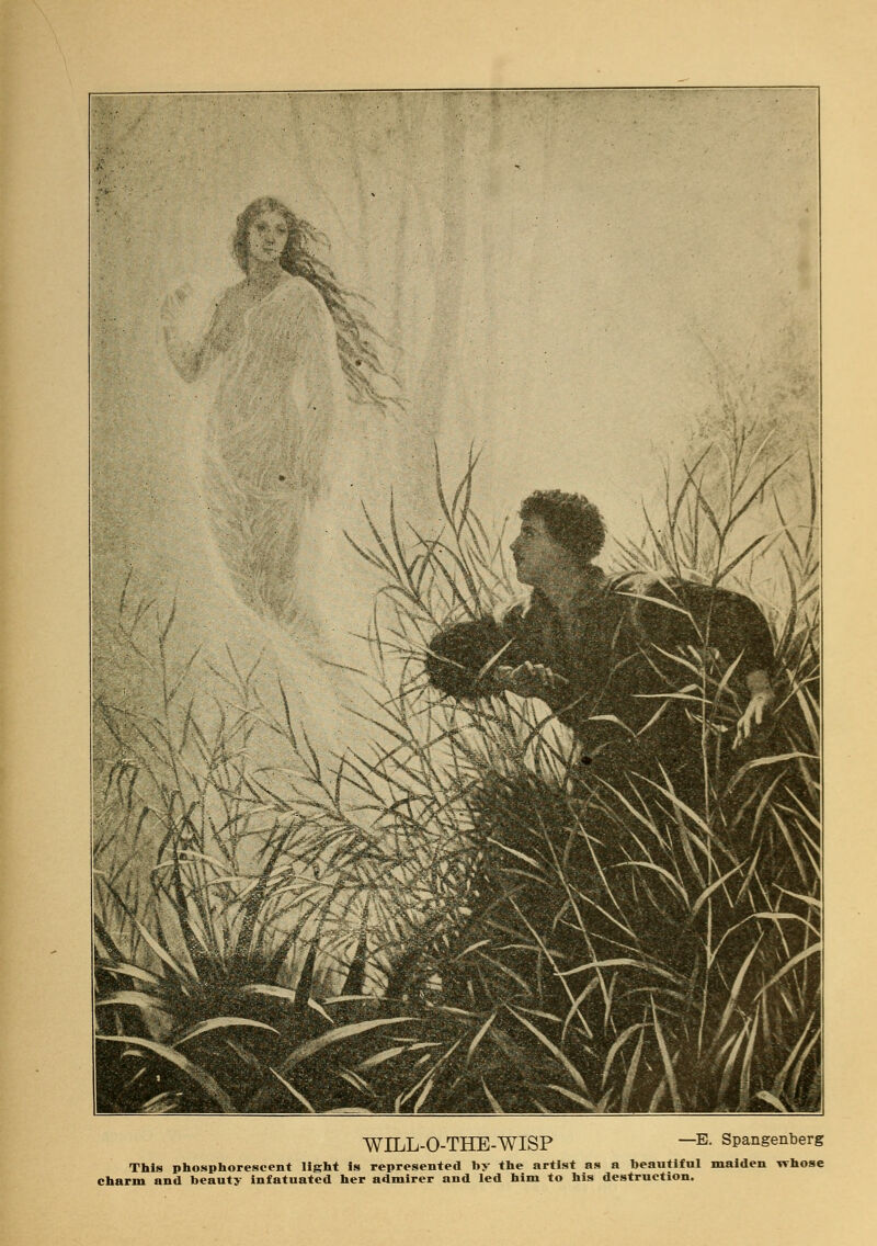 WILL-O-THE-WISP —E. Spangenberg This phosphorescent light Is represented by the artist as a beautiful maiden vrhose charm and beauty infatuated her admirer and led him to his destruction.