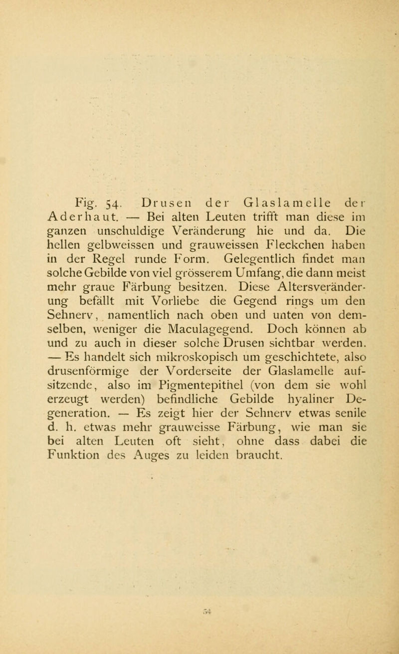 Fig. 54. Drusen der Glaslamelle de 1 Ad er haut. — Bei alten Leuten trifft man diese im ganzen unschuldige Veränderung hie und da. Die hellen gelbweissen und grauweissen Fleckchen haben in der Regel runde Form. Gelegentlich findet man solche Gebilde von viel grösserem Umfang, die dann meist mehr graue Färbung besitzen. Diese Altersveränder- ung befällt mit Vorliebe die Gegend rings um den Sehnerv, namentlich nach oben und unten von dem- selben, weniger die Maculagegend. Doch können ab und zu auch in dieser solche Drusen sichtbar werden. — Es handelt sich mikroskopisch um geschichtete, also drusenförmige der Vorderseite der Glaslamelle auf- sitzende, also im Pigmentepithel (von dem sie wohl erzeugt werden) befindliche Gebilde hyaliner De- generation. — Es zeigt hier der Sehnerv etwas senile d. h. etwas mehr grauweisse Färbung, wie man sie bei alten Leuten oft sieht, ohne dass dabei die Funktion des Auges zu leiden braucht.