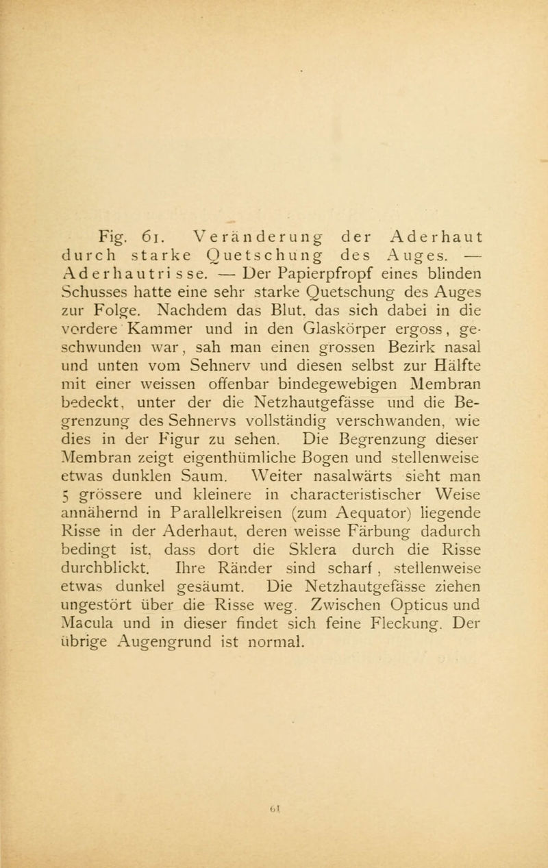durch starke Quetschung des Auges. — Ad er hau tri s se. —Der Papierpfropf eines blinden Schusses hatte eine sehr starke Quetschung des Auges zur Folge. Nachdem das Blut, das sich dabei in die vordere Kammer und in den Glaskörper ergoss, ge- schwunden war, sah man einen grossen Bezirk nasal und unten vom Sehnerv und diesen selbst zur Hälfte mit einer weissen offenbar bindegewebigen Membran bedeckt, unter der die Netzhautgefässe und die Be- grenzung des Sehnervs vollständig verschwanden, wie dies in der Figur zu sehen. Die Begrenzung dieser Membran zeigt eigenthümliche Bogen und stellenweise etwas dunklen Saum. Weiter nasalwärts sieht man 5 grössere und kleinere in characteristischer Weise annähernd in Parallelkreisen (zum Aequator) liegende Risse in der Aderhaut, deren weisse Färbung dadurch bedingt ist. dass dort die Sklera durch die Risse durchblickt. Ihre Ränder sind scharf , stellenweise etwas dunkel gesäumt. Die Netzhautgefässe ziehen ungestört über die Risse weg. Zwischen Opticus und Macula und in dieser findet sich feine Fleckung. Der übrige Augengrund ist normal.