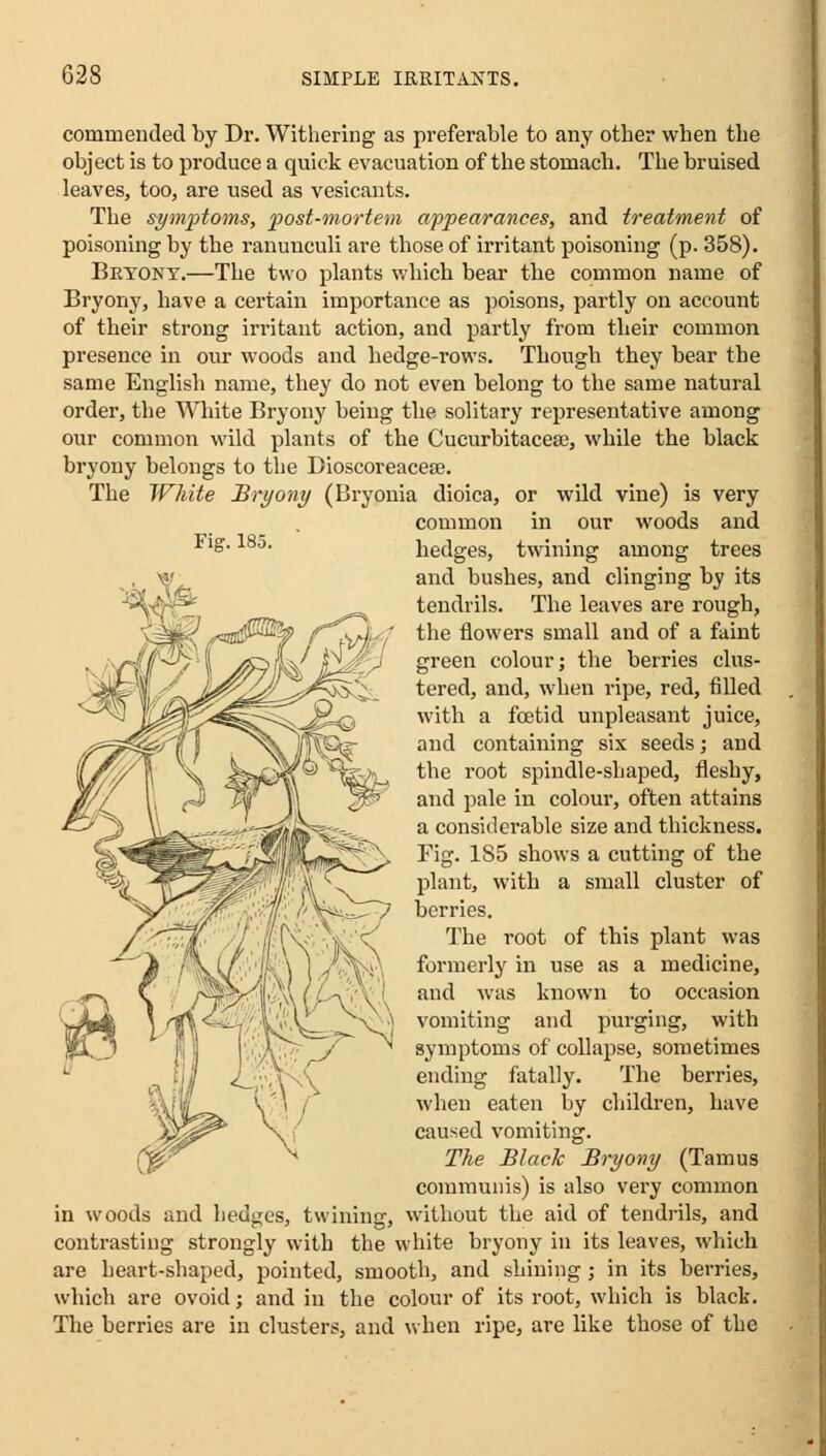 commended by Dr. Withering as preferable to any otber vvben tbe object is to produce a quick evacuation of the stomach. The bruised leaves, too, are used as vesicants. Tbe symptoms, post-mortem appearances, and treatment of poisoning by the ranunculi are those of irritant poisoning (p. 358). Bryony.—The two plants which bear the common name of Bryony, have a certain importance as poisons, partly on account of their strong irritant action, and partly from their common presence in our woods and hedge-rows. Though they bear the same English name, they do not even belong to the same natural order, the White Bryony being the solitary representative among our common wild plants of the Cucurbitaceee, while the black bryony belongs to the Dioscoreacese. The White Bryony (Bryonia dioica, or wild vine) is very common in our woods and Fl£ 18°- hedges, twining among trees and bushes, and clinging by its tendrils. The leaves are rough, the flowers small and of a faint green colour; the berries clus- tered, and, when ripe, red, filled with a fcetid unpleasant juice, and containing six seeds; and the root spindle-shaped, fleshy, and pale in colour, often attains a considerable size and thickness. Fig. 185 shows a cutting of the plant, with a small cluster of berries. The root of this plant was formerly in use as a medicine, and was known to occasion vomiting and purging, with symptoms of collapse, sometimes ending fatally. The berries, when eaten by children, have caused vomiting. The Black Bryony (Tamus communis) is also very common in woods and hedges, twining, without the aid of tendrils, and contrasting strongly with the white bryony in its leaves, which are heart-shaped, pointed, smooth, and shining; in its berries, which are ovoid; and in the colour of its root, which is black. The berries are in clusters, and when ripe, are like those of the