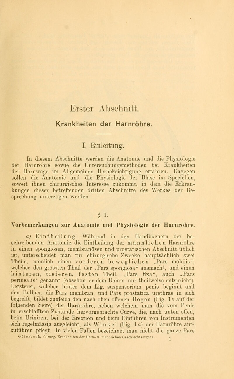 Erster Abschnitt. Krankheiten der Harnröhre. I. Einleitung. In diesem Abschnitte werden die Anatomie und die Physiologie der Harnröhre sowie die Untersuchungsmethoden bei Krankheiten der Harnwege im Allgemeinen Berücksichtigung erfahren. Dagegen sollen die Anatomie und die Physiologie der Blase im Speciellen, soweit ihnen chirurgisches Interesse zukommt, in dem die Erkran- kungen dieser betreffenden dritten Abschnitte des Werkes der Be- sprechung unterzogen werden. § 1- Toribemerkungen zur Anatomie und Physiologie der Harnröhre. a) Eintheilung. Während in den Handbüchern der be- schreibenden Anatomie die Eintheilung der männlichen Harnröhre in einen spongiösen, membranösen und prostatischen Abschnitt üblich ist, unterscheidet man für chirurgische Zwecke hauptsächlich zwei Theile, nämlich einen vorderen beweglichen „Pars mobilis, welcher den grössten Theil der „Pars spongiosa ausmacht, und einen hinteren, tieferen, festen Theil, „Pars fixa, auch „Pars perinealis genannt (obschon er dem Damm nur theilweise entspricht). Letzterer, welcher hinter dem Lig. Suspensorium penis beginnt und den Bulbus, die Pars membran. und Pars prostatica urethrae in sich begreift, bildet zugleich den nach oben offenen Bogen (Fig. Ih auf der folgenden Seite) der Harnröhre, neben welchem man die vom Penis in erschlafftem Zustande hervorgebrachte Curve, die, nach unten offen, beim üriniren, bei der Erection und beim Einführen von Instrumenten sich regelmässig ausgleicht, als Winkel (Fig. 1 a) der Harnröhre auf- zuführen pflegt. In vielen Fällen bezeichnet man nicht die ganze Pars Güterbock, Chirurg. Krankheiten der Harn- n. männliclien Geschlechtsorgane. -i