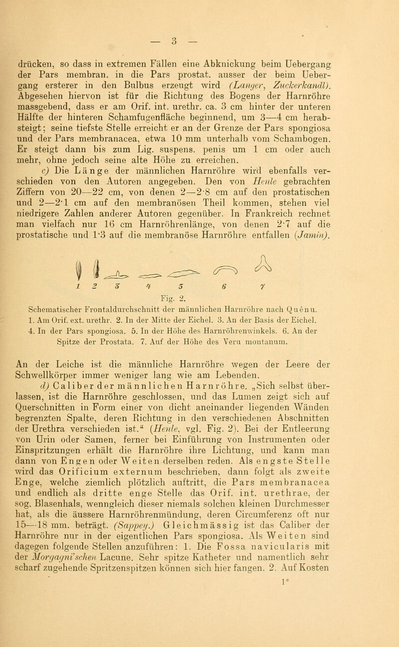 drücken, so dass in extremen Fällen eine Abknickung beim Uebergang der Pars membran. in die Pars prostat, ausser der beim Ueber- gang ersterer in den Bulbus erzeugt wird (Langer, Zuckerhandl). Abgesehen hiervon ist für die Richtung des Bogens der Harnröhre massgebend, dass er am Orif. int. urethr. ca. 3 cm hinter der unteren Hälfte der hinteren Schamfugenfläche beginnend, um 3—4 cm herab- steigt ; seine tiefste Stelle erreicht er an der Grenze der Pars spongiosa und der Pars membranacea, etwa 10 mm unterhalb vom Schambogen. Er steigt dann bis zum Lig. suspens. penis um 1 cm oder auch mehr, ohne jedoch seine alte Höhe zu erreichen. c) Die Länge der männlichen Harnröhre wird ebenfalls ver- schieden von den Autoren angegeben. Den von Henle gebrachten Ziffern von 20—22 cm, von denen 2—2-8 cm auf den prostatischen und 2—2'1 cm auf den membranösen Theil kommen, stehen viel niedrigere Zahlen anderer Autoren gegenüber. In Frankreich rechnet man vielfach nur 16 cm Harnröhrenlänge, von denen 2*7 auf die prostatische und 1*3 auf die membranöse Harnröhre entfallen (Jamin). ^f=^ A Fig. 2. Schematischer Frontaldurchschnitt dei' männlichen Harnröhre nach Quenu. 1. Am Orif. ext. urethr. 2. In der Mitte der Eichel. 3. An der Basis der Eichel. 4. In der Pars spongiosa. 5. In der Höhe des Harnröhrenwinkels. 6. An der Spitze der Prostata. 7. Auf der Höhe des Vera montanum. An der Leiche ist die männliche Harnröhre wegen der Leere der Schwellkörper immer weniger lang wie am Lebenden. d) Caliber der männlichen Harnröhre. „Sich selbst über- lassen, ist die Harnröhre geschlossen, und das Lumen zeigt sich auf Querschnitten in Form einer von dicht aneinander liegenden Wänden begrenzten Spalte, deren Richtung in den verschiedenen Abschnitten der Urethra verschieden ist. (Henle, vgl. Fig. 2). Bei der Entleerung von Urin oder Samen, ferner bei Einführung von Instrumenten oder Einspritzungen erhält die Harnröhre ihre Lichtung, und kann man dann von Engen oder Weiten derselben reden. Als engste Stelle wird das Orificium externum beschrieben, dann folgt als zweite Enge, welche ziemlich plötzlich auftritt, die Pars membranacea und endlich als dritte enge Stelle das Orif. int. urethrae, der sog. Blasenhals, wenngleich dieser niemals solchen kleinen Durchmesser hat, als die äussere Harnröhrenmündung, deren Circumferenz oft nur 15—18 mm. beträgt. (Sappeij.) Gleichmässig ist das Caliber der Harnröhre nur in der eigentlichen Pars spongiosa. Als Weiten sind dagegen folgende Stellen anzuführen: 1. Die Fossa navicularis mit der Morgag7ii'selten Lacune. Sehr spitze Katheter und namentlich sehr scharf zugehende Spritzenspitzen können sich hier fangen. 2. Auf Kosten 1*