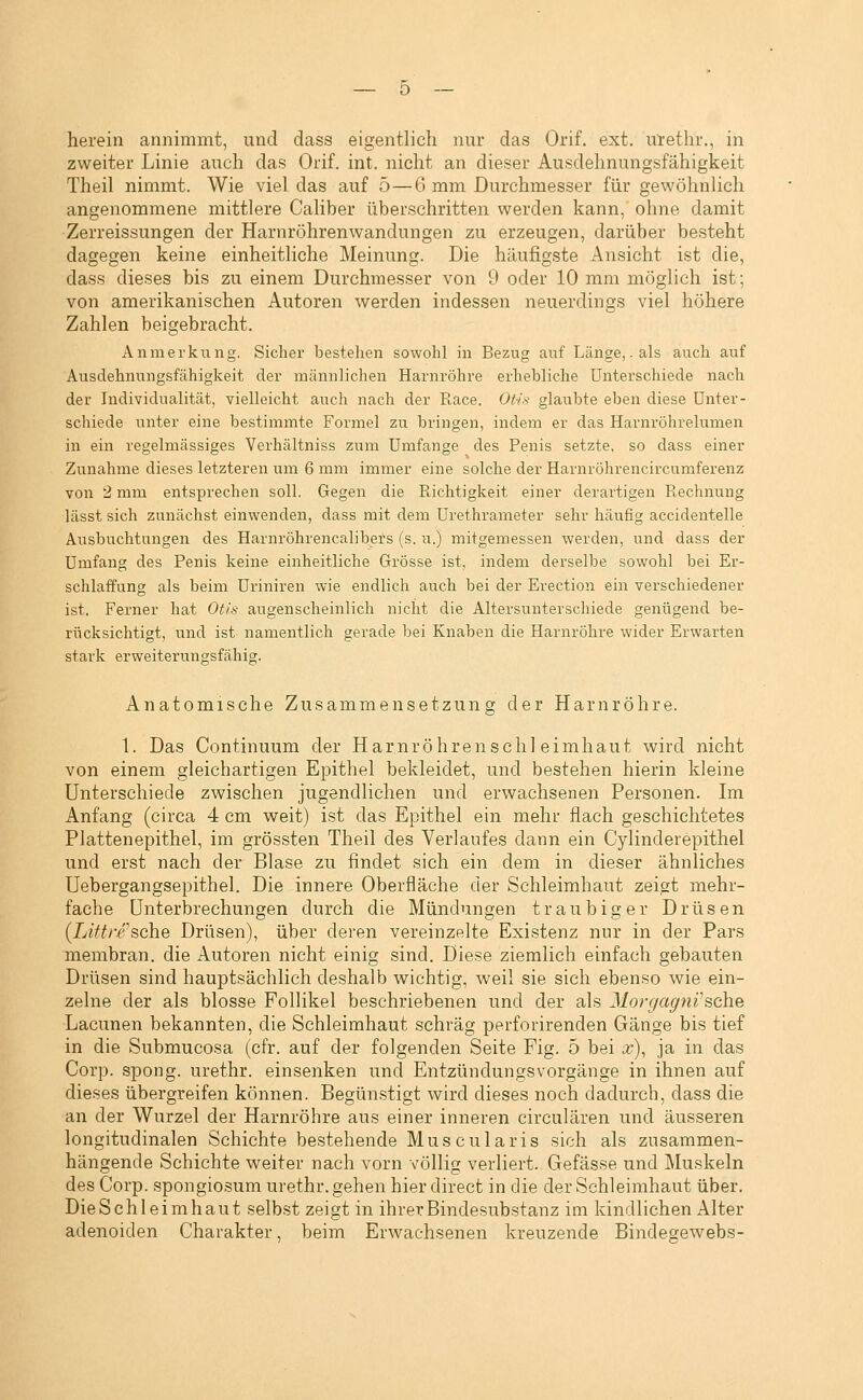 herein annimmt, und dass eigentlich nur das Orif. ext. u:rethr., in zweiter Linie auch das Orif. int. nicht an dieser Ausdehnungsfähigkeit Theil nimmt. Wie viel das auf 5—6 mm Durchmesser für gewöhnlich angenommene mittlere Caliber überschritten werden kann, ohne damit Zerreissungen der Harnröhrenwandungen zu erzeugen, darüber besteht dagegen keine einheitliche Meinung. Die häufigste Ansicht ist die, dass dieses bis zu einem Durchmesser von 9 oder 10 mm möglich ist; von amerikanischen Autoren werden indessen neuerdings viel höhere Zahlen beigebracht. Anmerkung. Sicher bestehen sowohl in Bezug auf Länge,.als auch auf Ausdehnungsfähigkeit der männlichen Harnröhre erhebliche Unterschiede nach der Individualität, vielleicht auch nach der Race. Otl<< glaubte eben diese Unter- schiede unter eine bestimmte Formel zu bringen, indem er das Harnröhrelumen in ein regelmässiges Verhältniss zum Umfange des Penis setzte, so dass einer Zunahme dieses letzteren um 6 mm immer eine solche der Harnröhrencircumferenz von 2 mm entsprechen soll. Gegen die E,ichtigkeit einer derartigen Ptechnung lässt sich zunächst einwenden, dass mit dem ürethrameter sehr häufig accidentelle Ausbuchtungen des Harnröhrencalibers (s. u.) mitgemessen werden, und dass der Umfang des Penis keine einheitliche Grösse ist, indem derselbe sowohl bei Er- schlaffung als beim Uriniren wie endlich auch bei der Erection ein verschiedener ist. Ferner hat Otls augenscheinlich nicht die Altersunterschiede genügend be- rücksichtigt, und ist namentlich gerade bei Knaben die Harnröhre wider Erwarten stark erweiterungsfähig. Anatomische Zusammensetzung der Harnröhre. 1. Das Continuum der Har.nröhrenschl eimhaut wird nicht von einem gleichartigen Epithel bekleidet, und bestehen hierin kleine Unterschiede zwischen jugendlichen und erwachsenen Personen. Im Anfang (circa 4 cm weit) ist das Epithel ein mehr flach geschichtetes Plattenepithel, im grössten Theil des Verlaufes dann ein Cylinderepithel und erst nach der Blase zu findet sich ein dem in dieser ähnliches Uebergangsepithel. Die innere Oberfläche der Schleimhaut zeigt mehr- fache Unterbrechungen durch die Mündungen trau big er Drüsen (Liftre sehe Drüsen), über deren vereinzfilte Existenz nur in der Pars membran. die Autoren nicht einig sind. Diese ziemlich einfach gebauten Drüsen sind hauptsächlich deshalb wichtig, weil sie sich ebenso wie ein- zelne der als blosse Follikel beschriebenen und der als Morgagni''sch.& Lacunen bekannten, die Schleimhaut schräg perforirenden Gänge bis tief in die Submucosa (cfr. auf der folgenden Seite Fig. 5 bei *), ja in das Corp. spong. urethr. einsenken und Entzündungsvorgänge in ihnen auf dieses übergreifen können. Begünstigt wird dieses noch dadurch, dass die an der Wurzel der Harnröhre aus einer inneren circulären und äusseren longitudinalen Schichte bestehende Muscularis sich als zusammen- hängende Schichte weiter nach vorn völlig verliert. Gefässe und Muskeln des Corp. spongiosum urethr. gehen hier direct in die der Schleimhaut über. Die Seh leim haut selbst zeigt in ihrer Bindesubstanz im kindlichen Alter adenoiden Charakter, beim Erwachsenen kreuzende Bindegewebs- •'o^