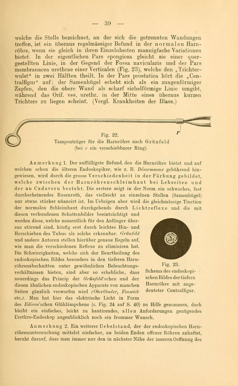 welche die Stelle bezeichnet, an der sich die getrennten Wandungen treffen, ist ein überaus regelmässiger Befund in der normalen Harn- röhre, wenn sie gleich in ihren Einzelnheiten mannigfache Variationen bietet. In der eigentlichen Pars spongiosa gleicht sie einer quer- gestellten Linie, in der Gegend der Fossa navicularis und der Pars raembranacea urethrae einer Verticalen (Fig. 23), welche den „Trichter- wulst in zwei Hälften theilt. In der Pars prostatica hört die „Cen- tralfigur auf; der Samenhügel erhebt sich als ein zungenförmiger Zapfen, den die obere Wand als scharf sichelförmige Linie umgibt, während das Orif. ves. urethr. in der Mitte eines überaus kurzen Trichters zu liegen scheint. (Vergl. Krankheiten der Blase.) Fig. 22. Tamponträger für die Harnröhre nach Grün fei d (bei r ein verschiebbarer Ring). Anmerkung 1. Der auffälligste Befund, den die Harnröhre bietet und auf welchen schon die älteren Endoskopiker, wie z. B. Desormeaux gebührend hin- gewiesen, wird durch die grosse Verschiedenheit in derFärbung gebildet, welche zwischen der Harnröhrenschleimhaut bei Lebzeiten und der an Cadavern besteht. Die erstere zeigt in der Norm ein schwaches, fast durchscheinendes Rosenroth, das vielleicht an einzelnen Stellen (Samenhügel) nur etwas stärker nüancirt ist. Im Uebrigen aber wird die gleichmässige Tinction der normalen Schleimhaut durchgehends durch Lichtreflexe und die mit diesen verbundenen Schattenbilder beeinträchtigt und werden diese, welche namentlich für den Anfänger über- aus störend sind, häufig erst durch leichtes Hin- und Herschieben des Tubus als solche erkennbar. Grünfeld und andere Autoren stellen hierüber genaue Regeln auf, wie man die verschiedenen Reflexe zu eliminiren hat. Die Schwierigkeiten, welche sich der Beurtheilung des endoskopischen Bildes besonders in den tieferen Harn- röhrenabschnitten unter gewöhnlichen Beleuchtungs- verhältnissen bieten, sind aber so erhebliche, dass neuerdings das Princip der Grünfeld''?,Qh.&\\ und der diesen ähnlichen endoskopischen Apparate von manchen Seiten gänzlich verworfen wird (Oberländer, FenivicTc etc.). Man hat hier das elektrische Licht in Form des Edison'?,ch%\\ Glühlämpchens (s. Fig. 24 auf S, 40) zu Hilfe genommen, doch bleibt ein einfaches, leicht zu hantirendes, allen Anforderungen genügendes Urethro-Endoskop augenblicklich noch ein frommer Wunsch. Anmerkung 2. Ein weiterer üebelstand, der der endoskopischen Harn- röhrenuntersuchung mittelst einfacher, an beiden Enden offener Röhren anhaftet, beruht darauf, dass man immer nur den in nächster Nähe der inneren Oeffnung des Fig. 23. Schema des endoskopi- schen Bildes der tiefern Harnröhre mit ange- deuteter Centralfigur.