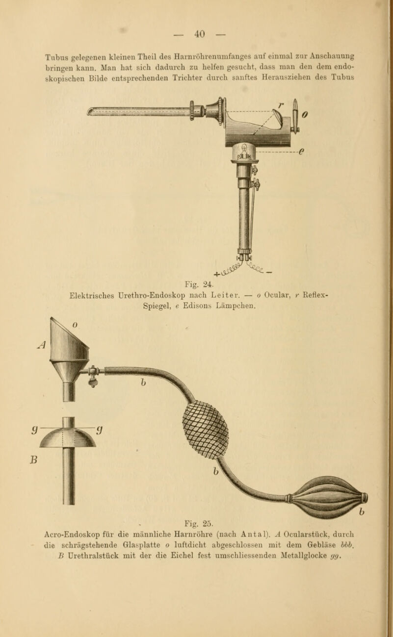 Tubus gelegenen kleinen Theil des Harnröhrenumfanges auf einmal zur Anschauung bringen kann. Man hat sich dadurch zu helfen gesucht, dass man den dem endo- skopischen Bilde entsprechenden Trichter durch sanftes Herausziehen des Tubus Fig. 24. Elektrisches Urethro-Endoskop nach Leiter. — o Ocular, r Reflex- Spiegel, e Edisons Lämpchen. Fig. 25. Acro-Endoskop für die männliche Harnröhre (nach Antal). A Ocularstück, durch die schrügstehende Glasplatte o luftdicht abgeschlossen mit dem Gebläse hbh. B Urethralstück mit der die Eichel fest umschliessenden Metallglocke yy.