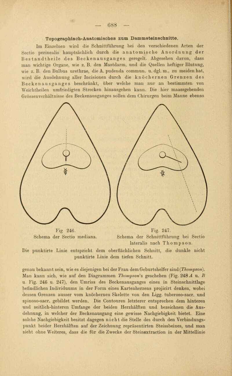 — G88 Topographlsoh-Anatomisohes zum Dammsteinschnitte. Im Einzelnen wird die Schnittführung bei den verschiedenen Arten der Sectio perinealis hauptsächlich durch die anatomische Anordnung der Bestandtheile des Becken au sganges geregelt. Abgesehen davon, dass man wichtige Organe, wie z. B. den Mastdarm, und die Quellen heftiger Blutung, wie z.B. den Bulbus urethrae, die A. pudenda commun. u. dgl. m., zu meiden hat, wird die Ausdehnung aller Incisionen durch die knöchernen Grenzen des Beckenausganges beschränkt, über welche man nur an bestimmten von Weichtheilen umfriedigten Strecken hinausgehen kann. Die hier maassgebenden Grössenvcrhältnisse des Beckenausganges sollen dem Chirurgen beim Manne ebenso Fig 246. Schema der Sectio mediana. Fig. 247. Schema der Schnittführung bei Sectio lateralis nach Thompson. Die punktirte Linie entspricht dem oberflächlichen Schnitt, die dunkle nicht punktirte Linie dem tiefen Schnitt. genau bekannt sein, wie es diejenigen bei der Frau dem Geburtshelfer sind {Thompsou). Man kann sich, wie auf den Diagrammen Thonrpson's geschehen (Fig. 248^ u. B u. Fig. 246 u. 247), den Umriss des Beckenausganges eines in Steinschnittlage befindlichen Individuums in der Form eines Kartenherzens projicirt denken, wobei dessen Grenzen ausser vom knöchernen Skelette von den Ligg. tuberoso-sacr. und spinoso-sacr. gebildet werden. Die Contouren letzterer entsprechen dem hinteren und seitlich-hinteren Umfange der beiden Herzhälften und bezeichnen die Aus- dehnung, in welcher der Beckenausgang eine gewisse Nachgiebigkeit bietet. Eine solche Nachgiebigkeit besitzt dagegen nicht die Stelle des durch den Verbindungs- punkt beider Herzhälften auf der Zeichnung repräsentirten Steissbeines, und man sieht ohne Weiteres, dass die für die Zwecke der Steinextraction in der Mittellinie