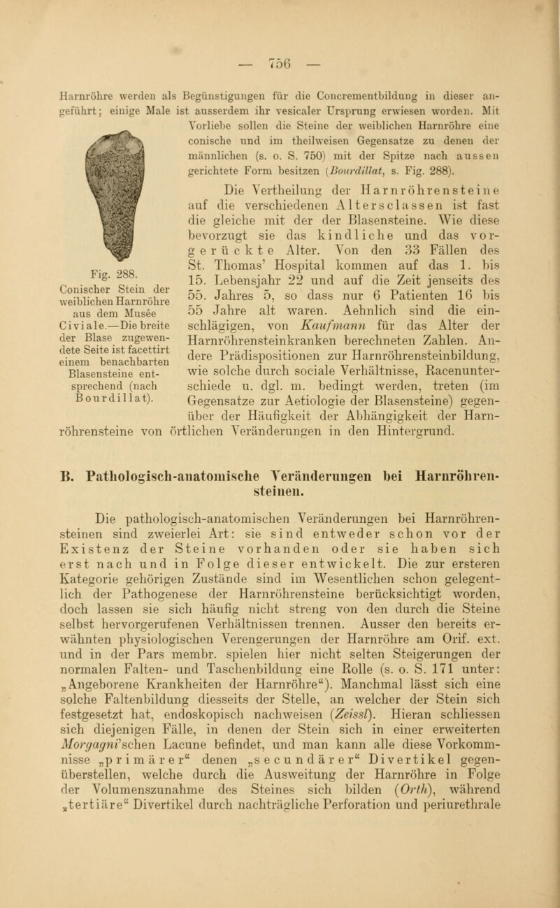 Harnröhre werden als Begünstigungen für die Concrementbildung in dieser an- geführt; einige Male ist ausserdem ihr vesicaler Ursprung erwiesen worden. Mit Vorliebe sollen die Steine der weiblichen Harnröhre eine conische und im theilweisen Gegensatze zu denen der männlichen (s. o. S. 750) mit der Spitze nach aussen gerichtete Form besitzen [Bourdillat, s. Fig. 288). Die Vertheilung der Harn röhrensteine auf die verschiedenen Alter schissen ist fast die gleiche mit der der Blasensteine. Wie diese bevorzugt sie das kindliclie und das vor- gerückte Alter. Von den 33 Fällen des St. Thomas' Hospital kommen auf das 1. bis 15. Lebensjahr 22 und auf die Zeit jenseits des 55. Jahres 5, so dass nur 6 Patienten 16 bis 55 Jahre alt waren. Aehnlich sind die ein- Fig. 288. Conischer Stein der weiblichen Harnröhre aus dem Musee Civiale.—Diebreite der Blase zugewen- dete Seite ist facettirt einem benachbarten Blasensteine ent- sprechend (nach Bourdillat). schlägigen, von Kaufmann für das Alter der Harnröhrensteinkranken berechneten Zahlen. An- dere Prädispositionen zur Harnröhrensteinbildung, wie solche durch sociale Verhältnisse, Kacenunter- schiede u. dgl. m. bedingt werden, treten (im Gegensatze zur Aetiologie der Blasensteine) gegen- über der Häufigkeit der Abhängigkeit der Harn- röhrensteine von örtlichen Veränderungen in den Hintergrund. B. Pathologisch-anatomische Teränderungeii steinen. bei Harnröhren- Die pathologisch-anatomischen Veränderungen bei Harnröhren- steinen sind zweierlei Art: sie sind entweder schon vor der Existenz der Steine vorhanden oder sie haben sich erst nach und in Folge dieser entwickelt. Die zur ersteren Kategorie gehörigen Zustände sind im Wesentlichen schon gelegent- lich der Pathogenese der Harnrührensteine berücksichtigt worden, doch lassen sie sich häufig nicht streng von den durch die Steine selbst hervorgerufenen Verhältnissen trennen. Ausser den bereits er- wähnten physiologischen Verengerungen der Harnröhre am Orif. ext. und in der Pars membr. spielen hier nicht selten Steigerungen der normalen Falten- und Taschenbildung eine Rolle (s. o. S. 171 unter: „Angeborene Krankheiten der Harnröhre). Manchmal lässt sich eine solche Faltenbildung diesseits der Stelle, an welcher der Stein sich festgesetzt hat, endoskopisch nachweisen (Zeissl). Hieran schliessen sich diejenigen Fälle, in denen der Stein sich in einer erweiterten Alorgagni''sehen Lacune befindet, und man kann alle diese Vorkomm- nisse „primärer denen „secundärer Divertikel gegen- überstellen, welche durch die Ausweitung der Harnröhre in Folge der Volumenszunahme des Steines sich bilden (Orfh), während „tertiäre Divertikel durch nachträgliche Perforation und periurethrale