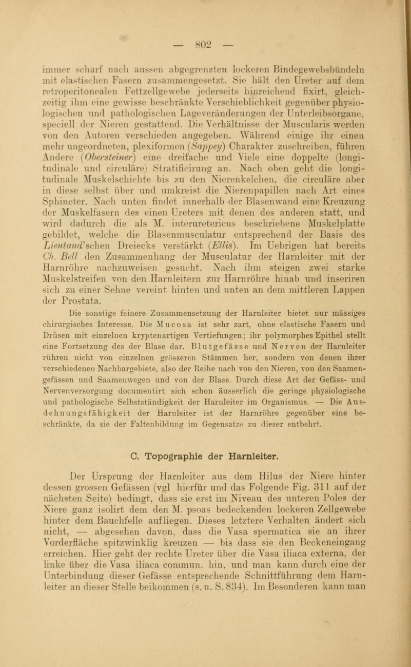 immor scharf Jiach aussen abgegrenzten lockeren Bindegewebsbündeln mit elastisclien Fasern zusammengesetzt. Sie liält den Ureter auf dem retroperitonealen Fettzellgewebe jederseits hinreichend fixirt, gleich- zeitig ihm eine gewisse beschränkte Verschieblichkeit gegenüber physio- logischen und pathologisclien Lageveränderungen der Unterleibsorgane, speciell der Nieren gestattend. Die Verhältnisse der Muscularis werden von den Autoren verschieden angegeben. Während einige ihr einen mehr ungeordneten, plexiformen [Sappey) Charakter zuschreiben, führen Andere (Obersfeiner) eine dreifache und Viele eine doppelte (longi- tudinale und eirculäre) Stratifiicirnng an. Nach oben geht die longi- tudinale Muskelschichte bis zu den Nierenkelchen, die eirculäre aber in diese selbst über und umkreist die Nierenpapillen nach Art eines Sphincter. Nach unten findet innerhalb der Blasenwand eine Kreuzung der Muskelfasern des einen Ureters mit denen des anderen statt, und wird dadurch die als M. interuretericus beschriebene Muskelplatte gebildet, welche die Blasenmusculatur entsprechend der Basis des Lieufaud^sehen Dreiecks verstärkt (Ellis). Im Uebrigen hat bereits Ch. Bell den Zusammenhang der Musculatur der Harnleiter mit der Harnröhre nachzuweisen gesucht. Nach ihm steigen zwei .starke Muskel streifen von den Harnleitern zur Harnröhre hinab und inseriren sich zu einer Sehne vereint hinten und unten an dem mittleren Lappen der Prostata. Die sonstige feinere Zusammensetzung der Harnleiter bietet nur massiges chirurgisches Interesse. Die Mucosa ist sehr zart, ohne elastische Fasern und Drüsen mit einzelnen kryptenartigen Vertiefungen; ihr polymorphes Epithel stellt eine Fortsetzung des der Blase dar. Blutgefässe und Nerven der Harnleiter rühren nicht von einzelnen grösseren Stämmen her, sondern von denen ihrer verschiedenen Nachbargebiete, also der Reihe nach von den Nieren, von den Saaraen- gefässen und Saamenwegen und von der Blase. Durch diese Art der Gefäss- und Nervenversorgung documentirt sich schon äusserlich die geringe physiologische und pathologische Selbstständigkeit der Harnleiter im Organismus. — Die Aus- dehnungsfähigkeit der Harnleiter ist der Harnröhre gegenüber eine be- schränkte, da sie der Faltenbildung im Gegensatze zu dieser entbehrt. C. Topographie der Harnleiter. Der Ursprung der Harnleiter aus dem Hilus der Niere hinter dessen grossen Gefässen (vgl hierfür und das Folgende Fig. 311 auf der nächsten Seite) bedingt, dass sie erst im Niveau des unteren Poles der Niere ganz isolirt dem den M. psoas bedeckenden lockeren Zellgewebe hinter dem Bauchfelle aufliegen. Dieses letztere Verhalten ändert sich nicht, — abgesehen davon, dass die Vasa spermatica sie an ihrer Vorderfläche spitzwinklig kreuzen — bis dass sie den Beckeneingang erreichen. Hier geht der rechte Ureter über die Vasa iliaca externa, der linke über die Vasa iliaca commun. hin, und man kann durch eine der Unterbindung dieser Gefässe entsprechende Sclmittführung dem Harn- leiter an dieser Stelle beikommen (s. u. S. 834). Ln Besonderen kann man