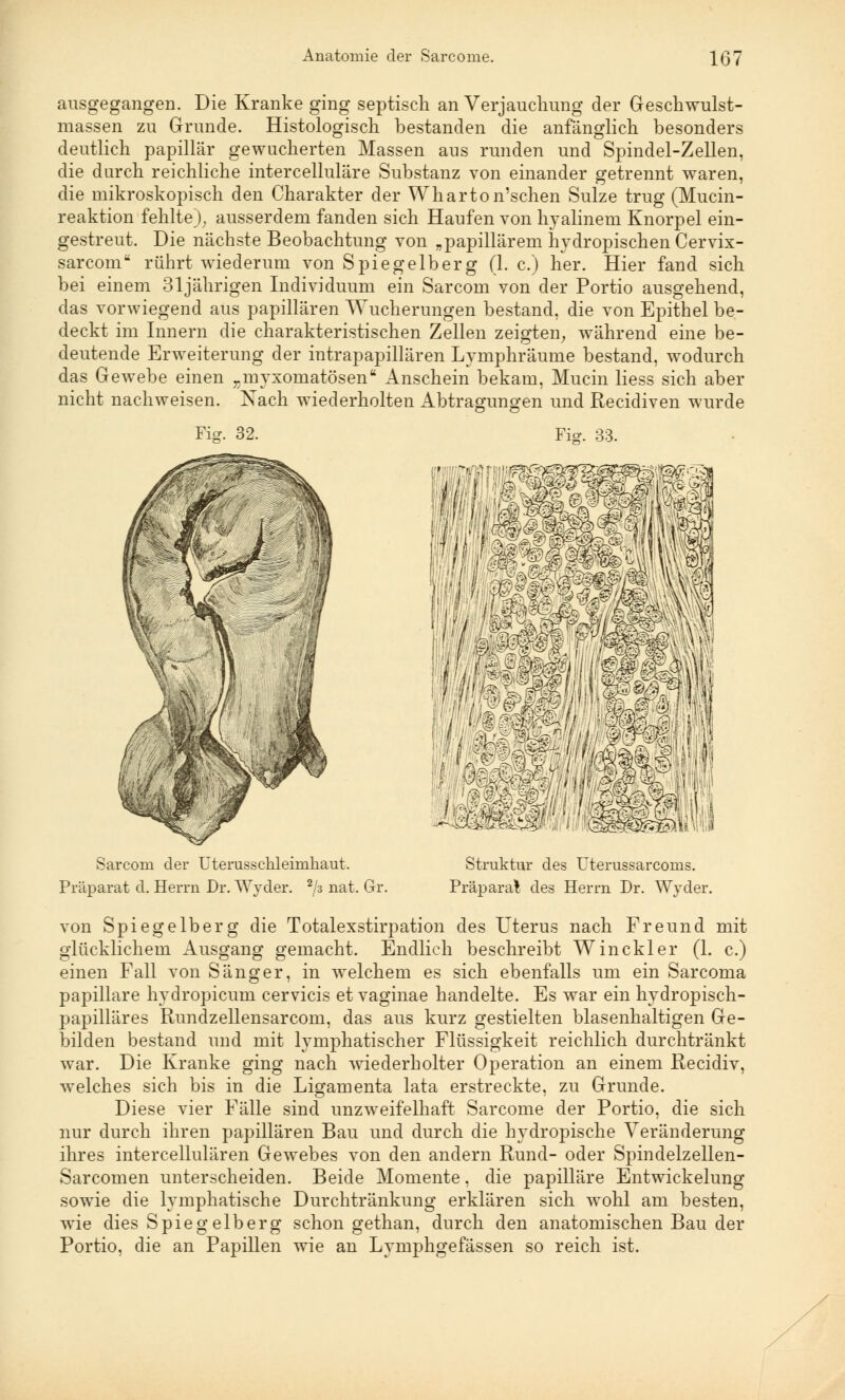 ausgegangen. Die Kranke ging septisch an Verjauchung der Geschwulst- massen zu Grunde. Histologisch bestanden die anfänglich besonders deutlich papillär gewucherten Massen aus runden und Spindel-Zellen, die durch reichliche intercelluläre Substanz von einander getrennt waren, die mikroskopisch den Charakter der Wharton'schen Sülze trug (Mucin- reaktion fehlte), ausserdem fanden sich Haufen von hyalinem Knorpel ein- gestreut. Die nächste Beobachtung von „papillärem hydropischen Cervix- sarcom rührt wiederum von Spiegelberg (1. c.) her. Hier fand sich bei einem 31jährigen Individuum ein Sarcom von der Portio ausgehend, das vorwiegend aus papillären Wucherungen bestand, die von Epithel be- deckt im Innern die charakteristischen Zellen zeigten, während eine be- deutende Erweiterung der intrapapillären Lymphräume bestand, wodurch das Gewebe einen rmyxomatösen Anschein bekam, Mucin Hess sich aber nicht nachweisen. Nach wiederholten Abtragungen und Recidiven wurde Fig. 32. Sarcom der Uterusschleimkaut. Präparat d. Herrn Dr. Wyder. 2/3 nat. Gr. Fig. 33. wwfBm Struktur des Uterussarcoms. Präparat des Herrn Dr. Wyder. von Spiegelberg die Totalexstirpation des Uterus nach Freund mit glücklichem Ausgang gemacht. Endlich beschreibt Win ekler (1. c.) einen Fall von Sänger, in welchem es sich ebenfalls um ein Sarcoma papilläre hydropicum cervicis et vaginae handelte. Es war ein hydropisch- papilläres Rundzellensarcom, das aus kurz gestielten blasenhaltigen Ge- bilden bestand und mit lymphatischer Flüssigkeit reichlich durchtränkt war. Die Kranke ging nach wiederholter Operation an einem Recidiv, welches sich bis in die Ligamenta lata erstreckte, zu Grunde. Diese vier Fälle sind unzweifelhaft Sarcome der Portio, die sich nur durch ihren papillären Bau und durch die hydropische Veränderung ihres intercellulären Gewebes von den andern Rund- oder Spindelzellen- Sarcomen unterscheiden. Beide Momente, die papilläre Entwicklung sowie die lymphatische Durchtränkung erklären sich wohl am besten, wie dies Spiegelberg schon gethan, durch den anatomischen Bau der Portio, die an Papillen wie an Lymphgefässen so reich ist.