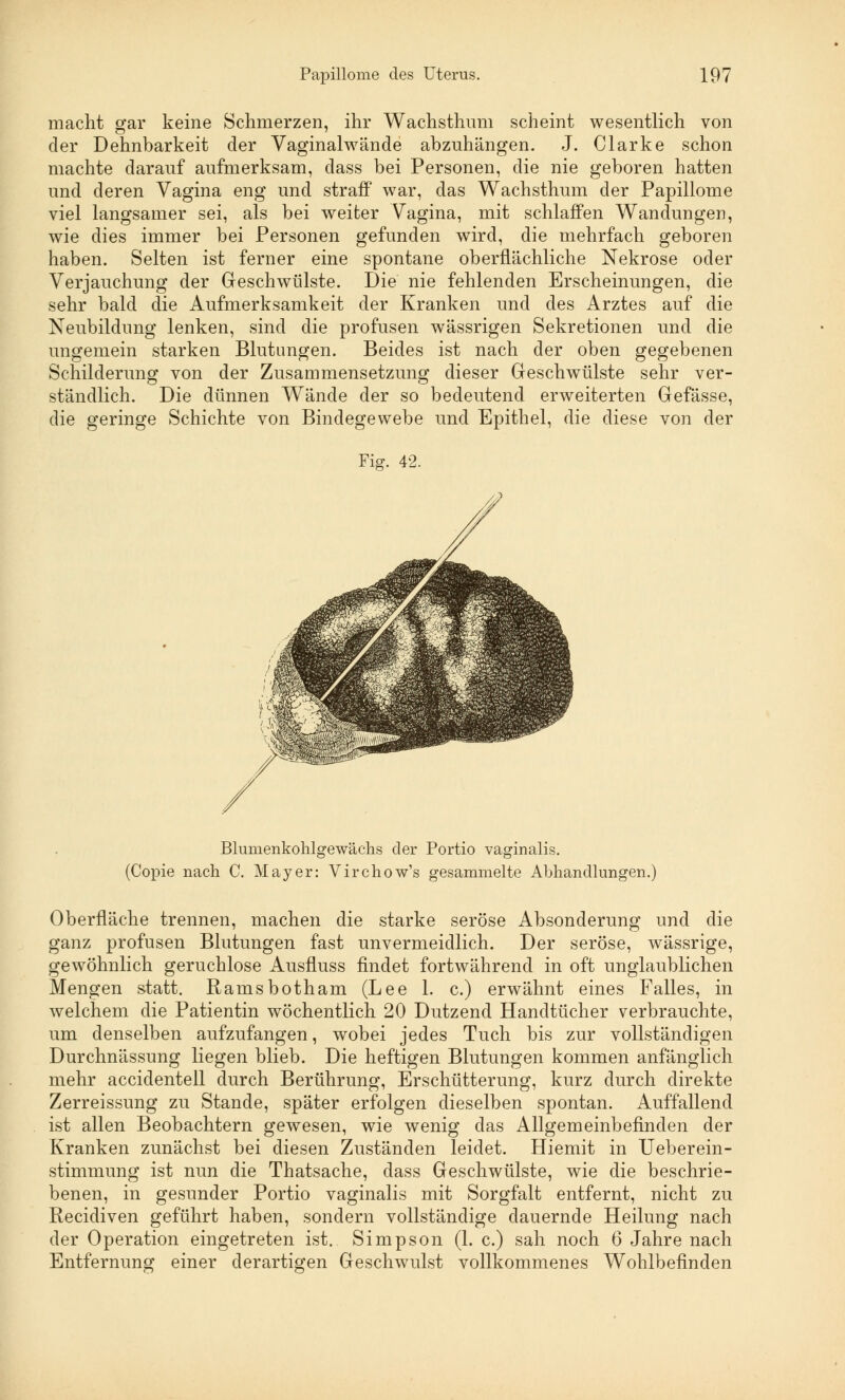 macht gar keine Schmerzen, ihr Wachsthum scheint wesentlich von der Dehnbarkeit der Vaginalwände abzuhängen. J. Clarke schon machte darauf aufmerksam, dass bei Personen, die nie geboren hatten und deren Vagina eng und straff war, das Wachsthum der Papillome viel langsamer sei, als bei weiter Vagina, mit schlaffen Wandungen, wie dies immer bei Personen gefunden wird, die mehrfach geboren haben. Selten ist ferner eine spontane oberflächliche Nekrose oder Verjauchung der Geschwülste. Die nie fehlenden Erscheinungen, die sehr bald die Aufmerksamkeit der Kranken und des Arztes auf die Neubildung lenken, sind die profusen wässrigen Sekretionen und die ungemein starken Blutungen. Beides ist nach der oben gegebenen Schilderung von der Zusammensetzung dieser Geschwülste sehr ver- ständlich. Die dünnen Wände der so bedeutend erweiterten Gefässe, die geringe Schichte von Bindegewebe und Epithel, die diese von der Fiff. 42. Blumenkohlgewächs der Portio vaginalis. (Copie nach C. Mayer: Virchow's gesammelte Abhandlungen.) Oberfläche trennen, machen die starke seröse Absonderung und die ganz profusen Blutungen fast unvermeidlich. Der seröse, wässrige, gewöhnlich geruchlose Ausfluss findet fortwährend in oft unglaublichen Mengen statt. Ramsbotham (Lee 1. c.) erwähnt eines Falles, in welchem die Patientin wöchentlich 20 Dutzend Handtücher verbrauchte, um denselben aufzufangen, wobei jedes Tuch bis zur vollständigen Durchnässung liegen blieb. Die heftigen Blutungen kommen anfänglich mehr accidentell durch Berührung, Erschütterung, kurz durch direkte Zerreissung zu Stande, später erfolgen dieselben spontan. Auffallend ist allen Beobachtern gewesen, wie wenig das Allgemeinbefinden der Kranken zunächst bei diesen Zuständen leidet. Hiemit in Ueberein- stimmung ist nun die Thatsache, dass Geschwülste, wie die beschrie- benen, in gesunder Portio vaginalis mit Sorgfalt entfernt, nicht zu Recidiven geführt haben, sondern vollständige dauernde Heilung nach der Operation eingetreten ist. Simpson (1. c.) sah noch 6 Jahre nach Entfernung einer derartigen Geschwulst vollkommenes Wohlbefinden