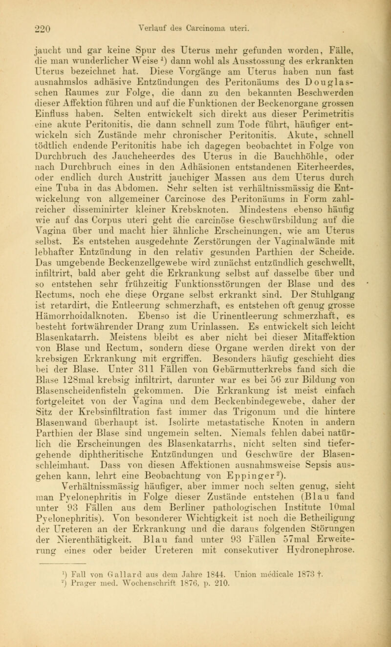 jaucht und gar keine Spur des Uterus mehr gefunden worden, Fälle, die man wunderlicher Weise 2) dann wohl als Ausstossung des erkrankten Uterus bezeichnet hat. Diese Vorgänge am Uterus haben nun fast ausnahmslos adhäsive Entzündungen des Peritoneums des Douglas- schen Raumes zur Folge, die dann zu den bekannten Beschwerden dieser AfFektion führen und auf die Funktionen der Beckenorgane grossen Einfluss haben. Selten entwickelt sich direkt aus dieser Perimetritis eine akute Peritonitis, die dann schnell zum Tode führt, häufiger ent- wickeln sich Zustände mehr chronischer Peritonitis. Akute, schnell tödtlich endende Peritonitis habe ich dagegen beobachtet in Folge von Durchbruch des Jaucheheerdes des Uterus in die Bauchhöhle, oder nach Durchbruch eines in den Adhäsionen entstandenen Eiterheerdes, oder endlich durch Austritt jauchiger Massen aus dem Uterus durch eine Tuba in das Abdomen. Sehr selten ist verhältnissmässig die Ent- wickelung von allgemeiner Carcinose des Peritonäums in Form zahl- reicher disseminirter kleiner Krebsknoten. Mindestens ebenso häufig wie auf das Corpus uteri geht die carcinose Geschwürsbildung' auf die Vagina über und macht hier ähnliche Erscheinungen, wie am Uterus selbst. Es entstehen ausgedehnte Zerstörungen der Vaginalwände mit lebhafter Entzündung in den relativ gesunden Parthien der Scheide. Das umgebende Beckenzellgewebe wird zunächst entzündlich geschwellt, infiltrirt, bald aber geht die Erkrankung selbst auf dasselbe über und so entstehen sehr frühzeitig Funktionsstörungen der Blase und des Rectums, noch ehe diese Organe selbst erkrankt sind. Der Stuhlgang ist retardirt. die Entleerung schmerzhaft, es entstehen oft genug grosse Hämorrhoidalknoten. Ebenso ist die Urinentleerung schmerzhaft, es besteht fortwährender Drang zum Urinlassen. Es entwickelt sich leicht Blasenkatarrh. Meistens bleibt es aber nicht bei dieser Mitaffektion von Blase und Rectum, sondern diese Organe werden direkt von der krebsigen Erkrankung mit ergriffen. Besonders häufig geschieht dies bei der Blase. Unter 311 Fällen von Gebärmutterkrebs fand sich die Blase 128mal krebsig infiltrirt, darunter war es bei 56 zur Bildung von Blasenscheidenfisteln gekommen. Die Erkrankung ist meist einfach fortgeleitet von der Vagina und dem Beckenbindegewebe, daher der Sitz der Krebsinfiltration fast immer das Trigonum und die hintere Blasenwand überhaupt ist. Isolirte metastatische Knoten in andern Parthien der Blase sind ungemein selten. Niemals fehlen dabei natür- lich die Erscheinungen des Blasenkatarrhs, nicht selten sind tiefer- gehende diphtheritische Entzündungen und Geschwüre der Blasen- schleimhaut. Dass von diesen Affektionen ausnahmsweise Sepsis aus- gehen kann, lehrt eine Beobachtung von Eppinger2). Verhältnissmässig häufiger, aber immer noch selten genug, sieht man Pyelonephritis in Folge dieser Zustände entstehen (Blau fand unter 93 Fällen aus dem Berliner pathologischen Institute lOmal Pyelonephritis). Von besonderer Wichtigkeit ist noch die Betheiligung der Ureteren an der Erkrankung und die daraus folgenden Störungen der Xierenthätigkeit, Blau fand unter 93 Fällen 57mal Erweite- rung eines oder beider Ureteren mit consekutiver Hydronephrose. !) Fall von Gallard aus dem Jahre 1844. Union medicale 1873 f. -i Prager med. Wochenschrift 1876, p. 210.