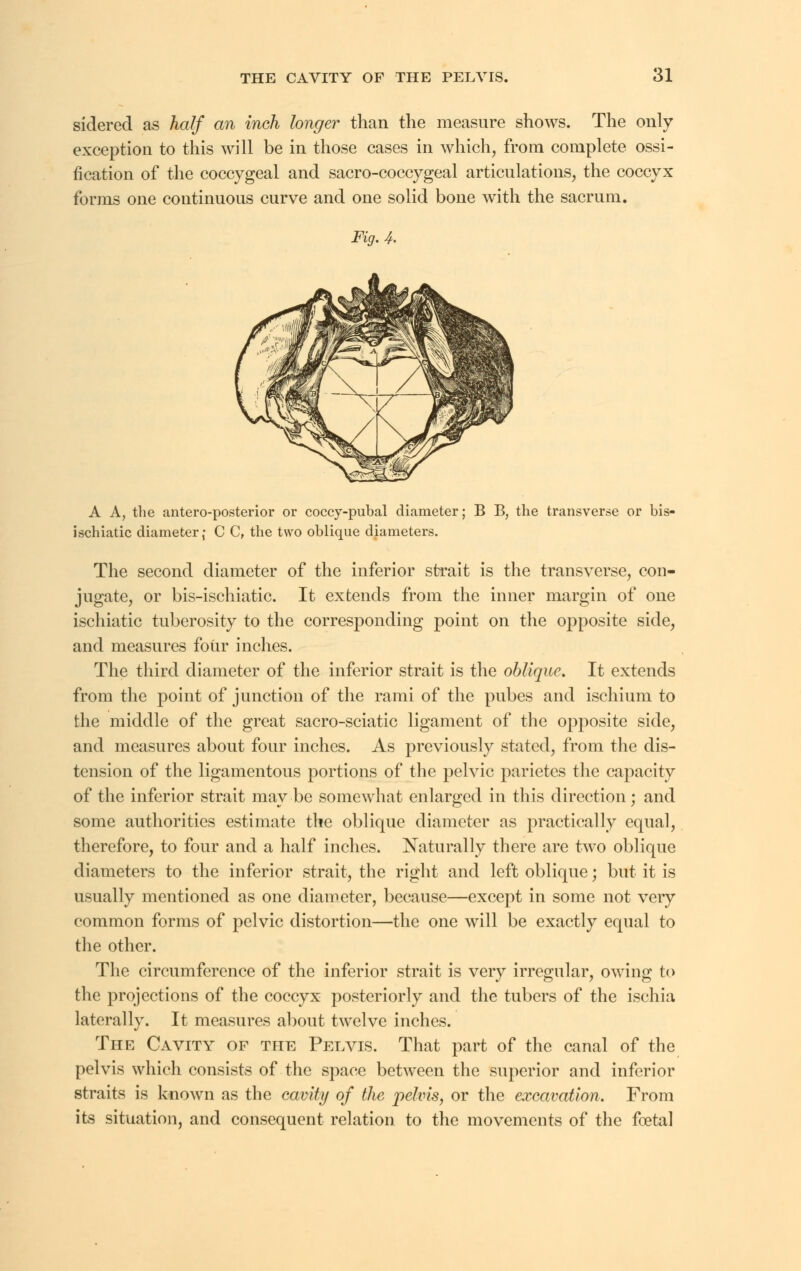 sidered as half an inch longer than the measure shows. The only exception to this will be in those cases in which, from complete ossi- fication of the coccygeal and sacro-coccygeal articulations, the coccyx forms one continuous curve and one solid bone with the sacrum. Fig. 4. A A, the anteroposterior or coccy-pubal diameter; B B, the transverse or bis- ischiatic diameter; C C, the two oblique diameters. The second diameter of the inferior strait is the transverse, con- jugate, or bis-ischiatic. It extends from the inner margin of one ischiatic tuberosity to the corresponding point on the opposite side, and measures four inches. The third diameter of the inferior strait is the oblique. It extends from the point of junction of the rami of the pubes and ischium to the middle of the great sacro-sciatic ligament of the opposite side, and measures about four inches. As previously stated, from the dis- tension of the ligamentous portions of the pelvic parietes the capacity of the inferior strait may be somewhat enlarged in this direction; and some authorities estimate the oblique diameter as practically equal, therefore, to four and a half inches. Naturally there are two oblique diameters to the inferior strait, the right and left oblique; but it is usually mentioned as one diameter, because—except in some not very common forms of pelvic distortion—the one will be exactly equal to the other. The circumference of the inferior strait is very irregular, owing to the projections of the coccyx posteriorly and the tubers of the ischia laterally. It measures about twelve inches. The Cavity of the Pelvis. That part of the canal of the pelvis which consists of the space between the superior and inferior straits is known as the cavity of the pelvis, or the excavation. From its situation, and consequent relation to the movements of the foetal