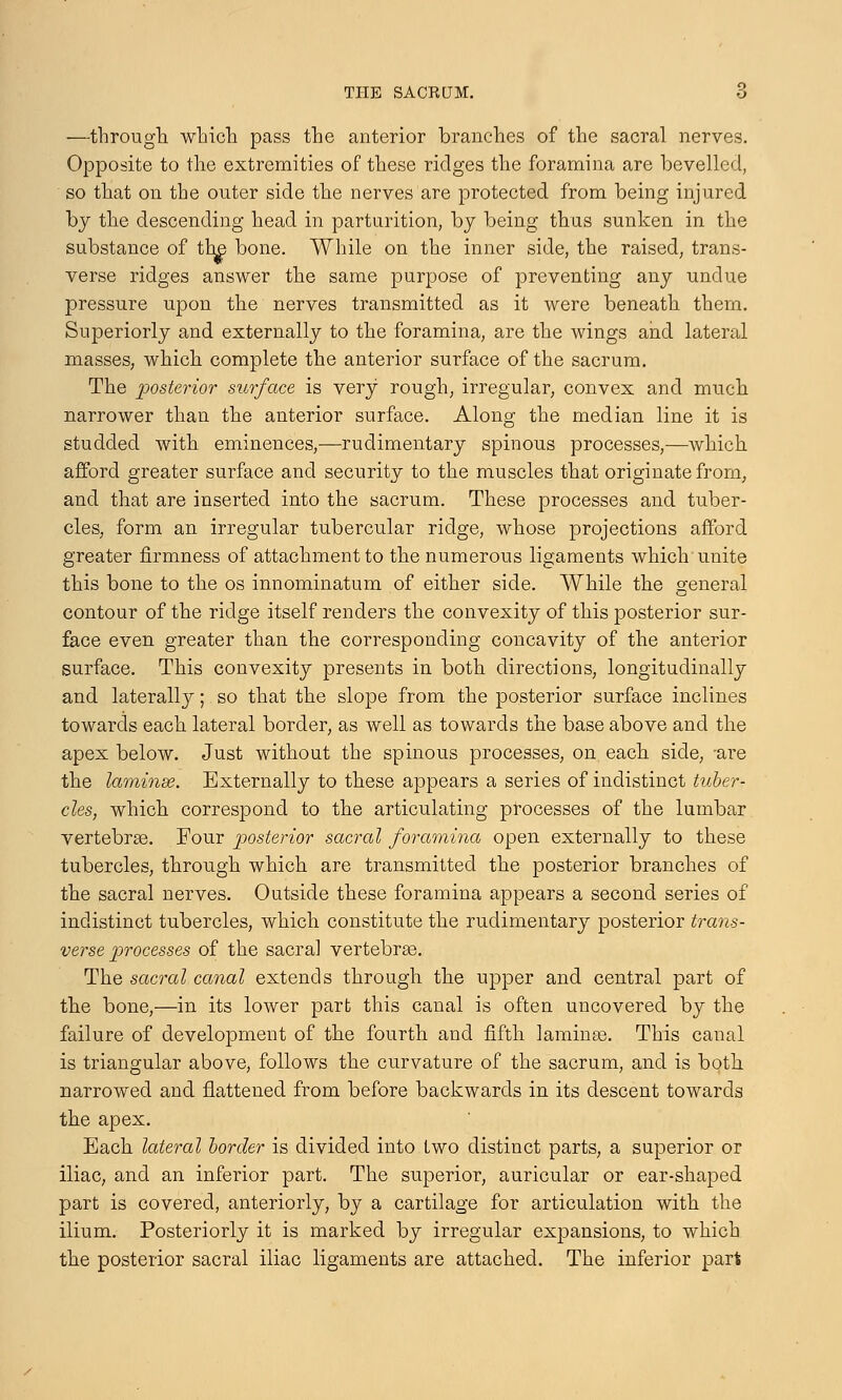 —through which pass the anterior branches of the sacral nerves. Opposite to the extremities of these ridges the foramina are bevelled, so that on the outer side the nerves are protected from being injured by the descending head in parturition, by being thus sunken in the substance of the bone. While on the inner side, the raised, trans- verse ridges answer the same purpose of preventing any undue pressure upon the nerves transmitted as it were beneath them. Superiorly and externally to the foramina, are the wings and lateral masses, which complete the anterior surface of the sacrum. The posterior surface is very rough, irregular, convex and much narrower than the anterior surface. Along the median line it is studded with eminences,—rudimentary spinous processes,—which afford greater surface and security to the muscles that originate from, and that are inserted into the sacrum. These processes and tuber- cles, form an irregular tubercular ridge, whose projections afford greater firmness of attachment to the numerous ligaments which unite this bone to the os innominatum of either side. While the general contour of the ridge itself renders the convexity of this posterior sur- face even greater than the corresponding concavity of the anterior surface. This convexity presents in both directions, longitudinally and laterally; so that the slope from the posterior surface inclines towards each lateral border, as well as towards the base above and the apex below. Just without the spinous processes, on each side, -are the laminse. Externally to these appears a series of indistinct tuber- cles, which correspond to the articulating processes of the lumbar vertebras. Four posterior sacral foramina open externally to these tubercles, through which are transmitted the posterior branches of the sacral nerves. Outside these foramina appears a second series of indistinct tubercles, which constitute the rudimentary posterior trans- verse processes of the sacral vertebras. The sacral canal extends through the upper and central part of the bone,—in its lower part this canal is often uncovered by the failure of development of the fourth and fifth laminee. This canal is triangular above, follows the curvature of the sacrum, and is both narrowed and flattened from before backwards in its descent towards the apex. Each lateral border is divided into two distinct parts, a superior or iliac, and an inferior part. The superior, auricular or ear-shaped part is covered, anteriorly, by a cartilage for articulation with the ilium. Posteriorly it is marked by irregular expansions, to which the posterior sacral iliac ligaments are attached. The inferior part