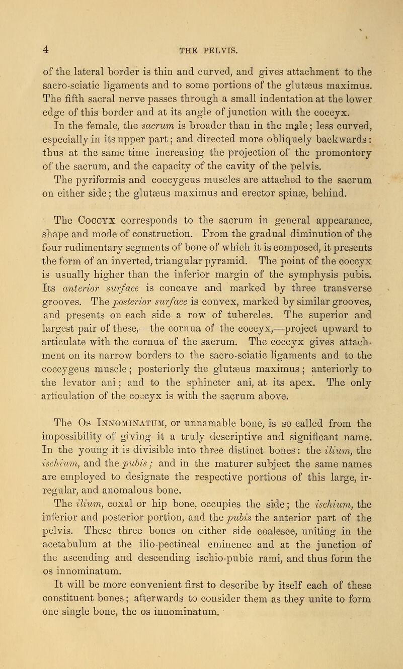 of the lateral border is thin and curved, and gives attachment to the sacro-sciatic ligaments and to some portions of the glutaeus maximus. The fifth sacral nerve passes through a small indentation at the lower edge of this border and at its angle of junction with the coccyx. In the female, the sacrum is broader than in the male; less curved, especially in its upper part; and directed more obliquely backwards : thus at the same time increasing the projection of the promontory of the sacrum, and the capacity of the cavity of the pelvis. The pyriformis and coccygeus muscles are attached to the sacrum on either side; the glutseus maximus and erector spinae, behind. The Coccyx corresponds to the sacrum in general appearance, shape and mode of construction. From the gradual diminution of the four rudimentary segments of bone of which it is composed, it presents the form of an inverted, triangular pyramid. The point of the coccyx is usually higher than the inferior margin of the symphysis pubis. Its anterior surface is concave and marked by three transverse grooves. The posterior surface is convex, marked by similar grooves, and presents on each side a row of tubercles. The superior and largest pair of these,—the cornua of the coccyx,—project upward to articulate with the cornua of the sacrum. The coccyx gives attach- ment on its narrow borders to the sacro-sciatic ligaments and to the coccygeus muscle; posteriorly the glutasus maximus ; anteriorly to the levator ani; and to the sphincter ani, at its apex. The only articulation of the coccyx is with the sacrum above. The Os Innominatum, or unnamable bone, is so called from the impossibility of giving it a truly descriptive and significant name. In the young it is divisible into three distinct bones: the ilium, the ischium, and the pubis; and in the maturer subject the same names are employed to designate the respective portions of this large, ir- regular, and anomalous bone. The ilium, coxal or hip bone, occupies the side; the ischium, the inferior and posterior portion, and the pubis the anterior part of the pelvis. These three bones on either side coalesce, uniting in the acetabulum at the ilio-pectineal eminence and at the junction of the ascending and descending ischio-pubic rami, and thus form the os innominatum. It will be more convenient first to describe by itself each of these constituent bones; afterwards to consider them as they unite to form one single bone, the os innominatum.