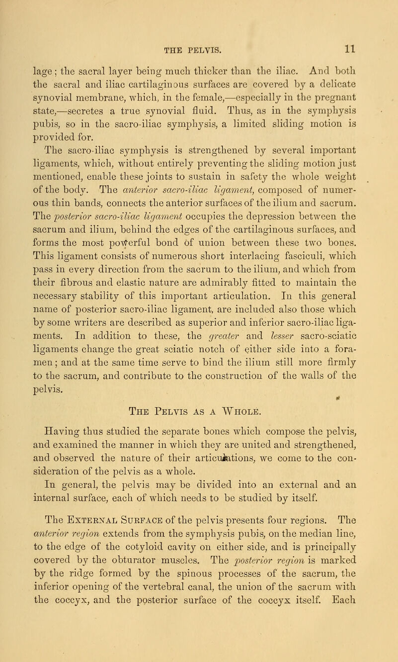 lage ; the sacral layer being much thicker than the iliac. And both the sacral and iliac cartilaginous surfaces are covered by a delicate synovial membrane, which, in the female,—especially in the pregnant state,—secretes a true synovial fluid. Thus, as in the symphysis pubis, so in the sacro-iliac symphysis, a limited sliding motion is provided for. The sacro-iliac symphysis is strengthened by several important ligaments, which, without entirely preventing the sliding motion just mentioned, enable these joints to sustain in safety the whole weight of the body. The anterior sacro-iliac ligament, composed of numer- ous thin bands, connects the anterior surfaces of the ilium and sacrum. The posterior sacro-iliac ligament occupies the depression between the sacrum and ilium, behind the edges of the cartilaginous surfaces, and forms the most powerful bond of union between these two bones. This ligament consists of numerous short interlacing fasciculi, which pass in every direction from the sacrum to the ilium, and which from their fibrous and elastic nature are admirably fitted to maintain the necessary stability of this important articulation. In this general name of posterior sacro-iliac ligament, are included also those which by some writers are described as superior and inferior sacro-iliac liga- ments. In addition to these, the greater and lesser sacro-sciatic ligaments change the great sciatic notch of either side iuto a fora- men ; and at the same time serve to bind the ilium still more firmly to the sacrum, and contribute to the construction of the walls of the pelvis. The Pelvis as a Whole. Having thus studied the separate bones which compose the pelvis, and examined the manner in which they are united and strengthened, and observed the nature of their articulations, we come to the con- sideration of the pelvis as a whole. In general, the pelvis may be divided into an external and an internal surface, each of which needs to be studied by itself. The Exteknal Surface of the pelvis presents four regions. The anterior region extends from the symphysis pubis, on the median line, to the edge of the cotyloid cavity on either side, and is principally covered by the obturator muscles. The posterior region is marked by the ridge formed by the spinous processes of the sacrum, the inferior opening of the vertebral canal, the union of the sacrum with the coccyx, and the posterior surface of the coccyx itself. Each