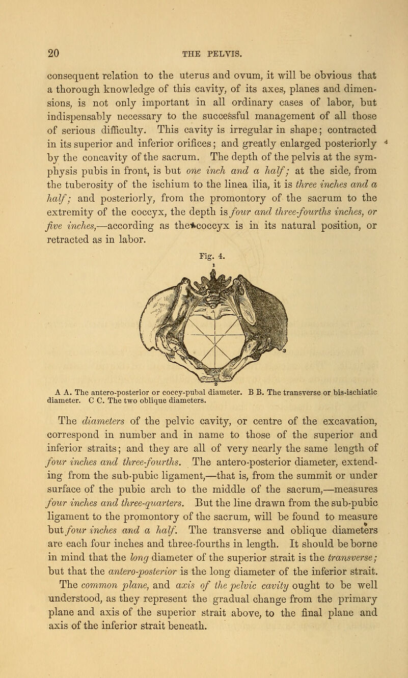 consequent relation to the uterus and ovum, it will be obvious that a thorough knowledge of this cavity, of its axes, planes and dimen- sions, is not only important in all ordinary cases of labor, but indispensably necessary to the successful management of all those of serious difficulty. This cavity is irregular in shape; contracted in its superior and inferior orifices; and greatly enlarged posteriorly by the concavity of the sacrum. The depth of the pelvis at the sym- physis pubis in front, is but one inch and a half; at the side, from the tuberosity of the ischium to the linea ilia, it is three inches and a half; and posteriorly, from the promontory of the sacrum to the extremity of the coccyx, the depth is four and three-fourths inches, or five inches,—according as the*coccyx is in its natural position, or retracted as in labor. Eig. 4. A A. The antero-posterior or coccy-pubal diameter. B B. The transverse or bis-ischiatic diameter. C C. The two oblique diameters. The diameters of the pelvic cavity, or centre of the excavation, correspond in number and in name to those of the superior and inferior straits; and they are all of very nearly the same length of four inches and three-fourths. The antero-posterior diameter, extend- ing from the sub-pubic ligament,—that is, from the summit or under surface of the pubic arch to the middle of the sacrum,—measures four inches and three-quarters. But the line drawn from the sub-pubic ligament to the promontory of the sacrum, will be found to measure but four inches and a half. The transverse and oblique diameters are each four inches and three-fourths in length. It should be borne in mind that the long diameter of the superior strait is the transverse; but that the antero-posterior is the long diameter of the inferior strait. The common plane, and axis of the pelvic cavity ought to be well understood, as they represent the gradual change from the primary plane and axis of the superior strait above, to the final plane and axis of the inferior strait beneath.