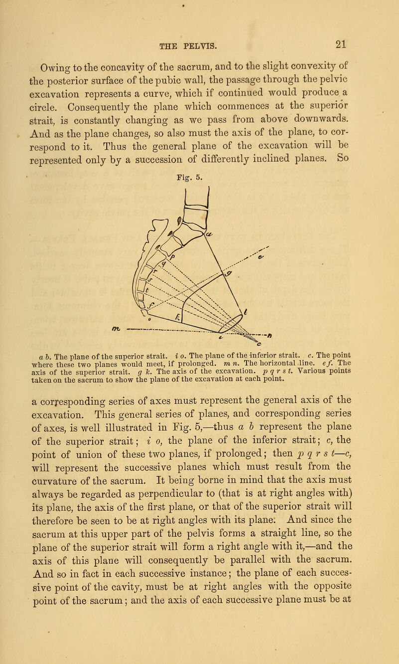 Owing to the concavity of the sacrum, and to the slight convexity of the posterior surface of the pubic wall, the passage through the pelvic excavation represents a curve, which if continued would produce a circle. Consequently the plane which commences at the superior strait, is constantly changing as we pass from above downwards. And as the plane changes, so also must the axis of the plane, to cor- respond to it. Thus the general plane of the excavation will be represented only by a succession of differently inclined planes. So Fig. 5. -**%—/» a b. The plane of the superior strait, i o. The plane of the inferior strait, c. The point where these two planes would meet, if prolonged, m n. The horizontal line. ef. The axis of the superior strait, g k. The axis of the excavation, pqr st. Various points taken on the sacrum to show the plane of the excavation at each point. a corresponding series of axes must represent the general axis of the excavation. This general series of planes, and corresponding series of axes, is well illustrated in Fig. 5,—thus a b represent the plane of the superior strait; i o, the plane of the inferior strait; c, the point of union of these two planes, if prolonged; then p qr s t—c, will represent the successive planes which must result from the curvature of the sacrum. It being borne in mind that the axis must always be regarded as perpendicular to (that is at right angles with) its plane, the axis of the first plane, or that of the superior strait will therefore be seen to be at right angles with its plane. And since the sacrum at this upper part of the pelvis forms a straight line, so the plane of the superior strait will form a right angle with it,—and the axis of this plane will consequently be parallel with the sacrum. And so in fact in each successive instance; the plane of each succes- sive point of the cavity, must be at right angles with the opposite point of the sacrum; and the axis of each successive plane must be at