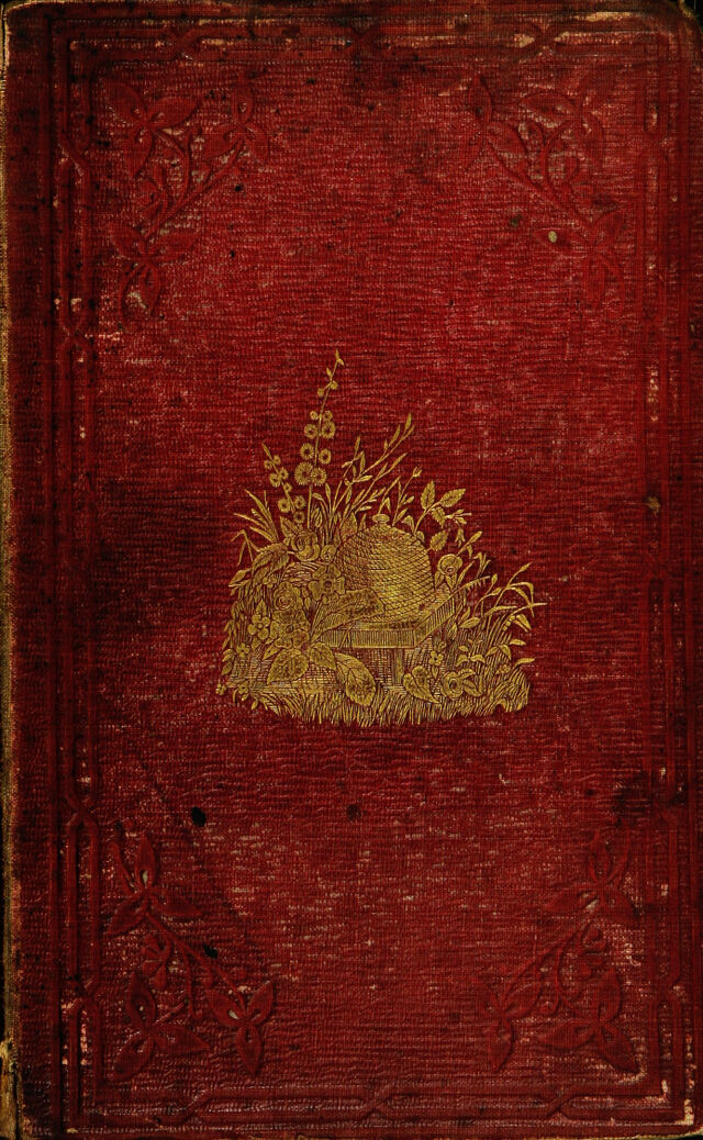digitised image 1