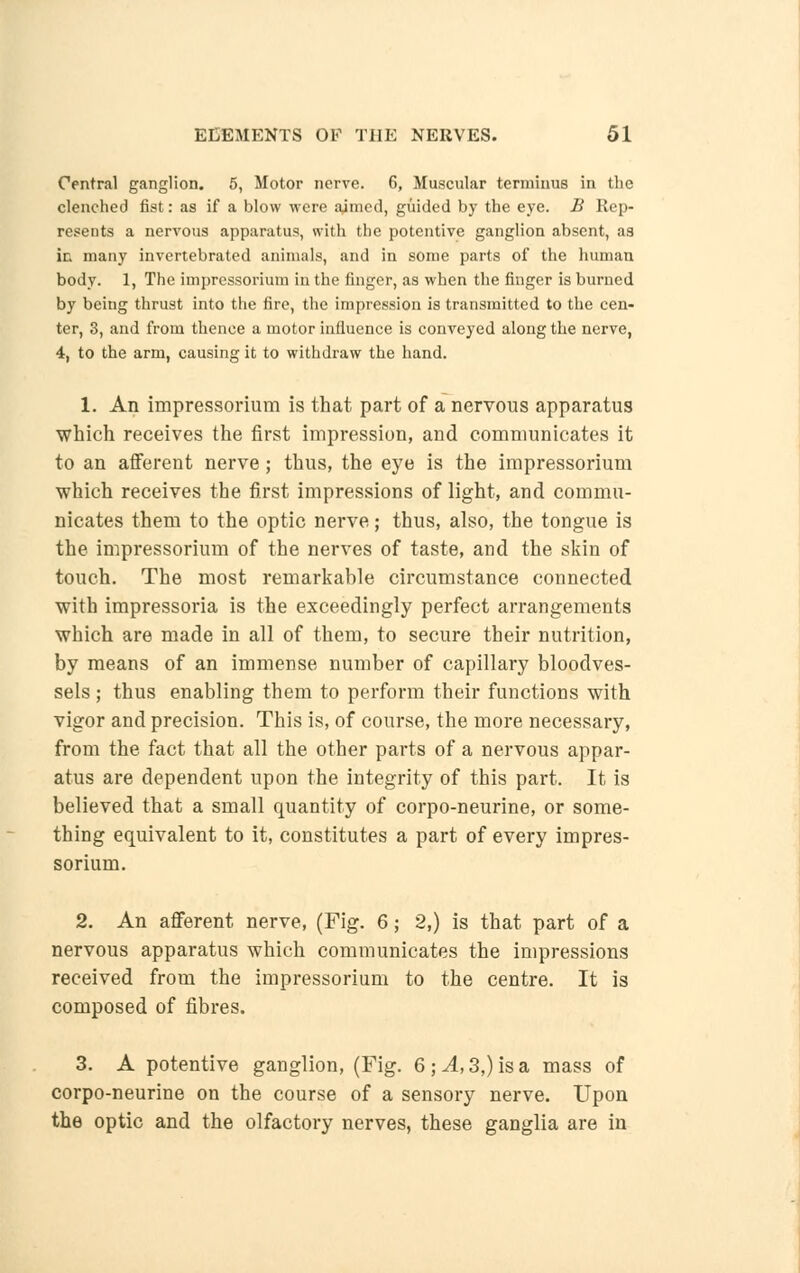 Central ganglion. 5, Motor nerve. 6, Muscular terminus in the clenched fist: as if a blow were aimed, guided by the eye. B Rep- resents a nervous apparatus, with the potentive ganglion absent, as in many invertebrated animals, and in some parts of the human body. 1, The impressorium in the finger, as when the finger is burned by beiug thrust into the fire, the impression is transmitted to the cen- ter, 3, and from thence a motor influence is conveyed along the nerve, 4, to the arm, causing it to withdraw the hand. 1. An impressorium is that part of a nervous apparatus which receives the first impression, and communicates it to an afferent nerve; thus, the eye is the impressorium which receives the first impressions of light, and commu- nicates them to the optic nerve; thus, also, the tongue is the impressorium of the nerves of taste, and the skin of touch. The most remarkable circumstance connected with impressoria is the exceedingly perfect arrangements which are made in all of them, to secure their nutrition, by means of an immense number of capillary bloodves- sels ; thus enabling them to perform their functions with vigor and precision. This is, of course, the more necessary, from the fact that all the other parts of a nervous appar- atus are dependent upon the integrity of this part. It is believed that a small quantity of corpo-neurine, or some- thing equivalent to it, constitutes a part of every impres- sorium. 2. An afferent nerve, (Fig. 6; 2,) is that part of a nervous apparatus which communicates the impressions received from the impressorium to the centre. It is composed of fibres. 3. A potentive ganglion, (Fig. 6; A, 3,) is a mass of corpo-neurine on the course of a sensory nerve. Upon the optic and the olfactory nerves, these ganglia are in