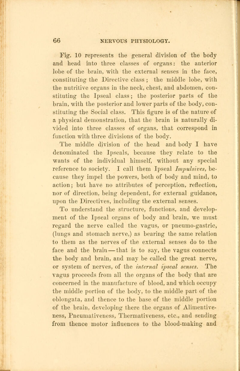 Fig. 10 represents the general division of the body and head into three classes of organs: the anterior lobe of the brain, with the external senses in the face, constituting the Directive class ; the middle lobe, with the nutritive organs in the neck, chest, and abdomen, con- stituting the Ipseal class; the posterior parts of the brain, with the posterior and lower parts of the body, con- stituting the Social class. This figure is of the nature of a physical demonstration, that the brain is naturally di- vided into three classes of organs, that correspond in function with three divisions of the body. The middle division of the head and body I have denominated the Ipseals, because they relate to the wants of the individual himself, without any special reference to society. I call them Ipseal hnpuhives, be- cause they impel the powers, both of body and mind, to action; but have no attributes of perception, reflection, nor of direction, being dependent, for external guidance, upon the Directives, including the external senses. To understand the structure, functions, and develop- ment of the Ipseal organs of body and brain, we must regard the nerve called the vagus, or pneumo-gastric, (lungs and stomach nerve,) as bearing the same relation to them as the nerves of the external senses do to the face and the brain—that is to say, the vagus connects the body and brain, and may be called the great nerve, or system of nerves, of the internal ipseal senses. The vagus proceeds from all the organs of the body that are concerned in the manufacture of blood, and which occupy the middle portion of the body, to the middle part of the oblongata, and thence to the base of the middle portion of the brain, developing there the organs of Alimentive- ness, Pneumativeness, Thermativeness, etc., and sending from thence motor influences to tho blood-making and