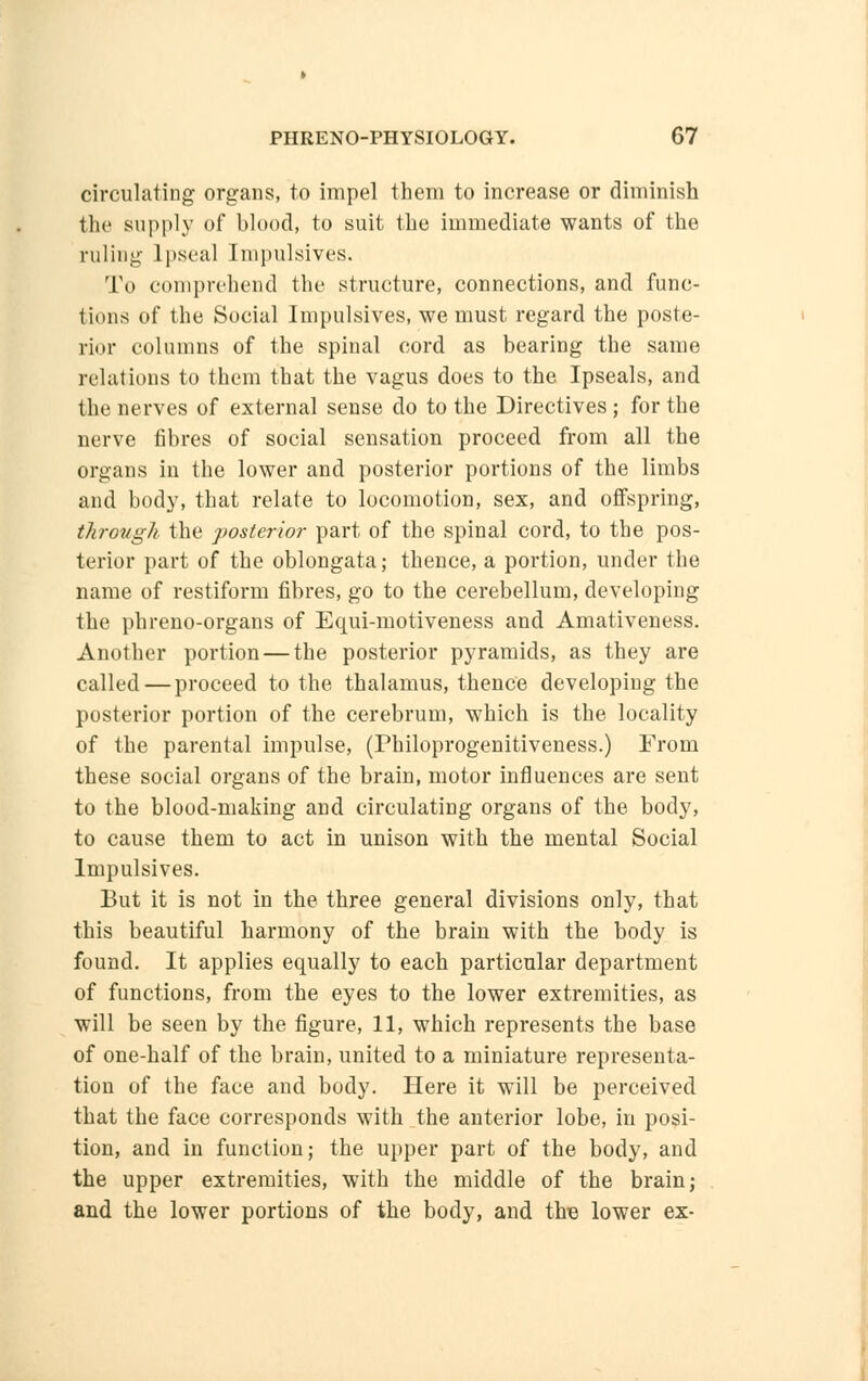 circulating organs, to impel them to increase or diminish the supply of blood, to suit the immediate wants of the ruling lpseal Impulsives. To comprehend the structure, connections, and func- tions of the Social Impulsives, we must regard the poste- rior columns of the spinal cord as bearing the same relations to them that the vagus does to the Ipseals, and the nerves of external sense do to the Directives ; for the nerve fibres of social sensation proceed from all the organs in the lower and posterior portions of the limbs and body, that relate to locomotion, sex, and offspring, through the posterior part of the spinal cord, to the pos- terior part of the oblongata; thence, a portion, under the name of restiform fibres, go to the cerebellum, developing the phreno-organs of Equi-motiveness and Amativeness. Another portion — the posterior pyramids, as they are called—proceed to the thalamus, thence developing the posterior portion of the cerebrum, which is the locality of the parental impulse, (Philoprogenitiveness.) From these social organs of the brain, motor influences are sent to the blood-making and circulating organs of the body, to cause them to act in unison with the mental Social Impulsives. But it is not in the three general divisions only, that this beautiful harmony of the brain with the body is found. It applies equally to each particular department of functions, from the eyes to the lower extremities, as will be seen by the figure, 11, which represents the base of one-half of the brain, united to a miniature representa- tion of the face and body. Here it will be perceived that the face corresponds with the anterior lobe, in posi- tion, and in function; the upper part of the body, and the upper extremities, with the middle of the brain; and the lower portions of the body, and the lower ex-