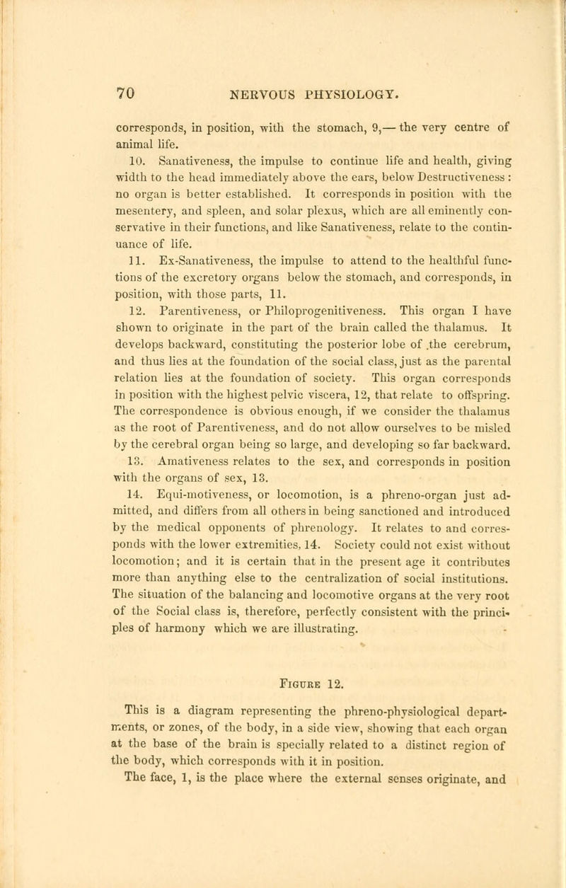 corresponds, in position, with the stomach, 9,— the very centre of animal life. 10. Sanativeness, the impulse to continue life and health, giving width to the head immediately above the ears, below Destructiveness : no organ is better established. It corresponds in position with tlie mesentery, and spleen, and solar plexus, which are all eminently con- servative in their functions, and like Sanativeness, relate to the contin- uance of life. 11. Ex-Sanativeness, the impulse to attend to the healthful func- tions of the excretory organs below the stomach, and corresponds, in position, with those parts, 11. 12. Parentiveness, or Philoprogenitiveness. This organ I have shown to originate in the part of the brain called the thalamus. It develops backward, constituting the posterior lobe of .the cerebrum, and thus lies at the foundation of the social class, just as the parental relation lies at the foundation of society. This organ corresponds in position with the highest pelvic viscera, 12, that relate to offspring. The correspondence is obvious enough, if we consider the thalamus as the root of Parentiveness, and do not allow ourselves to be misled by the cerebral organ being so large, and developing so far backward. 13. Amativeness relates to the sex, and corresponds in position with the organs of sex, 13. 14. Equi-motiveness, or locomotion, is a phreno-organ just ad- mitted, and differs from all others in being sanctioned and introduced by the medical opponents of phrenology. It relates to and corres- ponds with the lower extremities, 14. Society could not exist without locomotion; and it is certain that in the present age it contributes more than anything else to the centralization of social institutions. The situation of the balancing and locomotive organs at the very root of the Social class is, therefore, perfectly consistent with the princi* pies of harmony which we are illustrating. Figure 12. This is a diagram representing the phreno-physiological depart- ments, or zones, of the body, in a side view, showing that each organ at the base of the brain is specially related to a distinct region of the body, which corresponds with it in position. The face, 1, is the place where the external senses originate, and