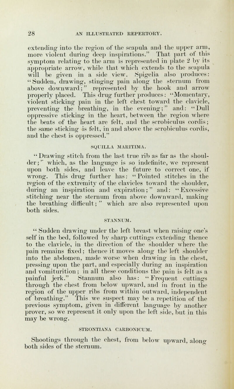 extending into the region of the scapula and the upper arm, more violent during deep inspirations. That part ot this symptom relating to the arm is represented in plate 2 by its appropriate arrow, while that which extends to the scapula will be given in a side view. Spigelia also produces:  Sudden, drawing, stinging pain along the sternum from above downward; represented by the hook and arrow properly placed. This drug further produces: Momentary, violent sticking pain in the left chest toward the clavicle, preventing the breathing, in the evening; and: Dull oppressive sticking in the heart, between the region where the beats of the heart are felt, and the scrobiculus cordis; the same sticking is felt, in and above the scrobiculus cordis, and the chest is oppressed. SQVILLA MARIT1MA. Drawing stitch from the last true rib as far as the shoul- der; which, as the language is so indefinite, we represent upon both sides, and leave the future to correct one, if wrong. This drug further has: Pointed stitches in the region of the extremity of the clavicles toward the shoulder, during an inspiration and expiration; and: Excessive stitching near the sternum from above downward, making the breathing difficult;  which are also represented upon both sides. STANNUM.  Sudden drawing under the left breast when raising one's self in the bed, followed by sharp cuttings extending thence to the clavicle, in the direction of the shoulder where the pain remains fixed; thence it moves along the left shoulder into the abdomen, made worse when drawing in the chest, pressing upon the part, and especially during an inspiration and vomiturition; in all these conditions the pain is felt as a painful jerk. Stannum also has: Frequent cuttings through the chest from below upward, and in front in the region of the upper ribs from within outward, independent of breathing. This we suspect may be a repetition of the previous symptom, given in different language by another prover, so we represent it only upon the left side, but in this may be wrong. STRONTIANA CARBONICUM. Shootings through the chest, from below upward, along both sides of the sternum.