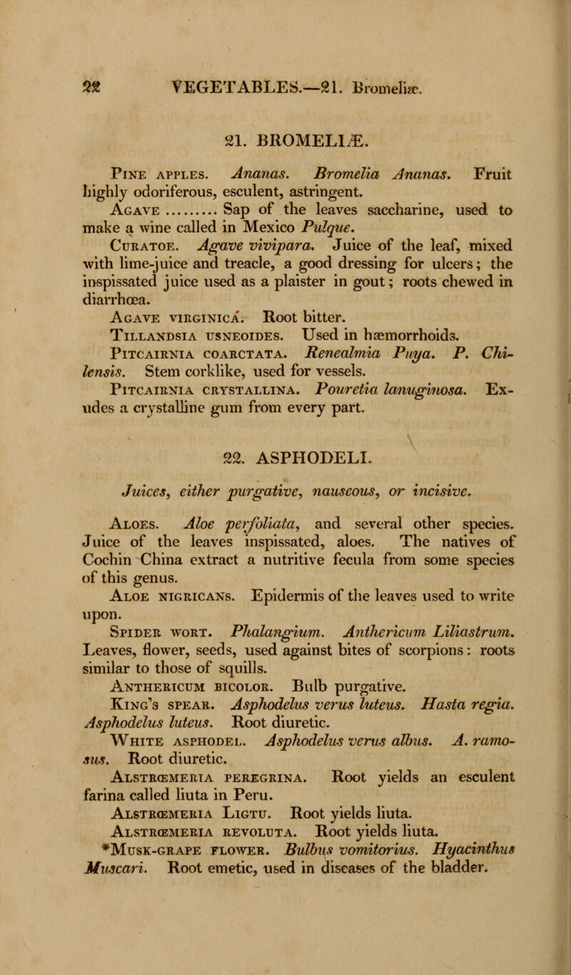 21. BROMELI^E. Pine apples. Ananas. Bromelia Ananas. Fruit highly odoriferous, esculent, astringent. Agave Sap of the leaves saccharine, used to make a wine called in Mexico Pulque. Curatoe. Agave vivipara. Juice of the leaf, mixed with lime-juice and treacle, a good dressing for ulcers; the invspissated juice used as a plaister in gout; roots chewed in diarrhoea. Agave virginica. Root bitter. Tillandsia usneoides. Used in haemorrhoids. Pitcairnia coarctata. Renealmia Puya. P. Chi- lensis. Stem corklike, used for vessels. Pitcairnia crystallina. Pouretia lanuginosa. Ex- udes a crystalline gum from every part. 22. ASPHODELI. Juices, either purgative, nauseous, or incisive. Aloes. Aloe perfoliata, and several other species. Juice of the leaves inspissated, aloes. The natives of Cochin China extract a nutritive fecula from some species of this genus. Aloe nigricans. Epidermis of the leaves used to write upon. Spider wort. Phalangium. Anihericum Liliastrum. Leaves, flower, seeds, used against bites of scorpions: roots similar to those of squills. Anthericum bicolor. Bulb purgative. King^ spear. Asphodelus verus luteus. Hasta regia. Asphodelus luteus. Root diuretic. White asphodel. Asphodelus verus alhus. A. ramo- sus. Root diuretic. Alstr(emeria peregrina. Root yields an esculent farina called liuta in Peru. Alstrcemeria Ligtu. Root yields liuta. Alstroemeria revoluta. Root yields liuta. *Musk-grape flower. Bulbus vomitorius. Hyacinthus Muscari. Root emetic, used in diseases of the bladder.