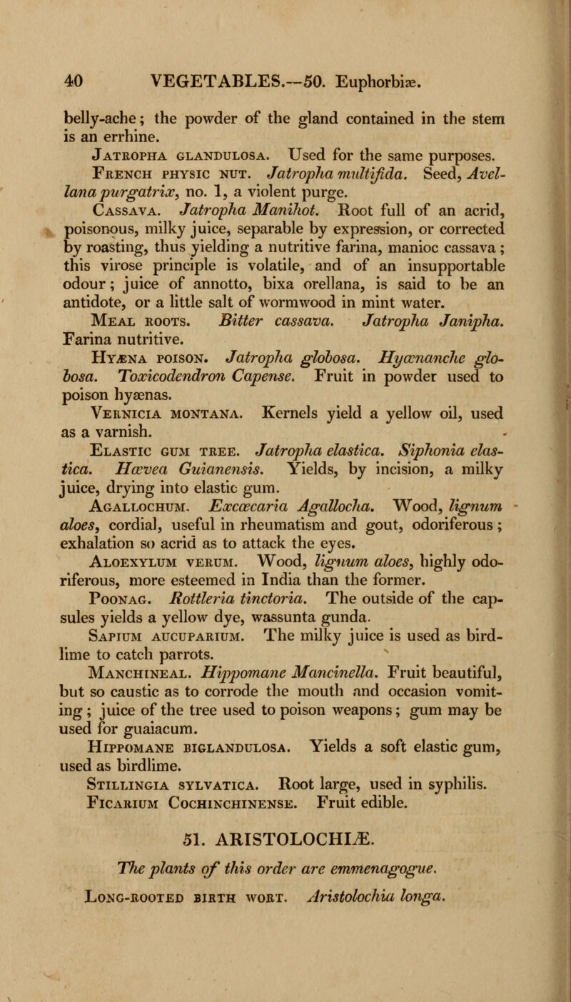 belly-ache; the powder of the gland contained in the stem is an errhine. Jatropha glandulosa. Used for the same purposes. French physic nut. Jatropha multifida. Seed, AveU lana purgatrix, no. 1, a violent purge. Cassava. Jatropha Manihot. Root full of an acrid, poisonous, milky juice, separable by expression, or corrected by roasting, thus yielding a nutritive farina, manioc cassava ; this virose principle is volatile, and of an insupportable odour; juice of annotto, bixa orellana, is said to be an antidote, or a little salt of wormwood in mint water. Meal roots. Bitter cassava. Jatropha Janipha. Farina nutritive. Hy,ena poison. Jatropha globosa. Hyamanche glo- bosa. Toxicodendron Capense. Fruit in powder used to poison hyaenas. Vernicia Montana. Kernels yield a yellow oil, used as a varnish. Elastic gum tree. Jatropha elastica, Siphonia elas- tica. Hwvea Guianensis. Yields, by incision, a milky juice, drying into elastic gum. Agallochum, Excaecaria Agallocha. Wood, lignum aloes, cordial, useful in rheumatism and gout, odoriferous; exhalation so acrid as to attack the eyes. Aloexylum verum. Wood, lignum aloes, highly odo- riferous, more esteemed in India than the former. Poonag. Rottleria tinctoria. The outside of the cap- sules yields a yellow dye, wassunta gunda. Sapium aucuparium. The milky juice is used as bird- lime to catch parrots. Manchineal. Hippomane Mancinella. Fruit beautiful, but so caustic as to corrode the mouth and occasion vomit- ing ; juice of the tree used to poison weapons; gum may be used for guaiacum. Hippomane biglandulosa. Yields a soft elastic gum, used as birdlime. Stillingia sylvatica. Root large, used in syphilis. Ficarium Cochinchinense. Fruit edible. 51. ARISTOLOCHLE. The plants of this order are emmenagogue. Long-rooted birth wort. Aristolochia longa.