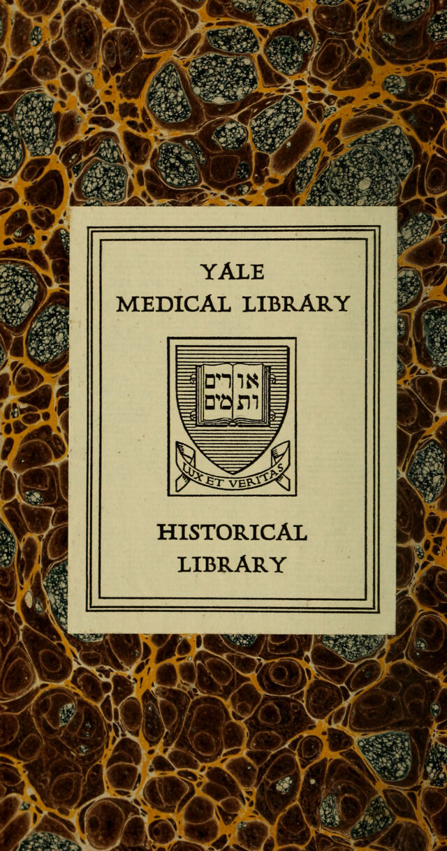 digitised image 2