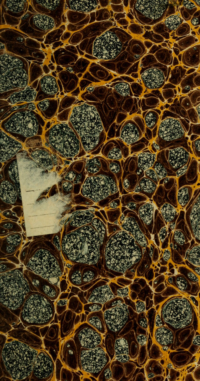 digitised image 3