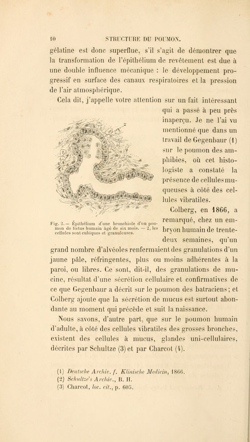 gélatine est donc superflue, s'il s'agit de démontrer que la transformation de l'épithélium de revêtement est due à une double influence mécanique : le développement pro- gressif en surface des canaux respiratoires et la pression de l'air atmosphérique. Cela dit, j'appelle votre attention sur un fait intéressant qui a passé à peu près inaperçu. Je ne l'ai vu mentionné que dans un travail de Gegenbaur (\ ) sur le poumon des am- phibies, où cet histo- logiste a constaté la présence de cellules mu- queuses à côté des cel- lules vibratiles. Colberg, en 1866, a remarqué, chez un em- Fig. 2.— Epithehum cl une bronchiole cl un pou- x mon de fœtus humain âgé de six mois. - 2, les JjrVOIl llUmaill de trente- cellules sont cubiques et granuleuses. J deux semaines, qu'un grand nombre d'alvéoles renfermaient des granulations d'un jaune pâle, réfringentes, plus ou moins adhérentes à la paroi, ou libres. Ce sont, dit-il, des granulations de rau- cine, résultat d'une sécrétion cellulaire et confirmatives de ce que Gegenbaur a décrit sur le poumon des batraciens; et Colberg ajoute que la sécrétion de mucus est surtout abon- dante au moment qui précède et suit la naissance. Nous savons, d'autre part., que sur le poumon humain d'adulte, à côté des cellules vibratiles des grosses bronches, existent des cellules à mucus, glandes uni-cellulaires, décrites par Schultze (3) et par Charcot (i). (1) Deutsche Archiv. f. Klinische Medicîn, 1860. (2) Schultze's Archir., H. II.