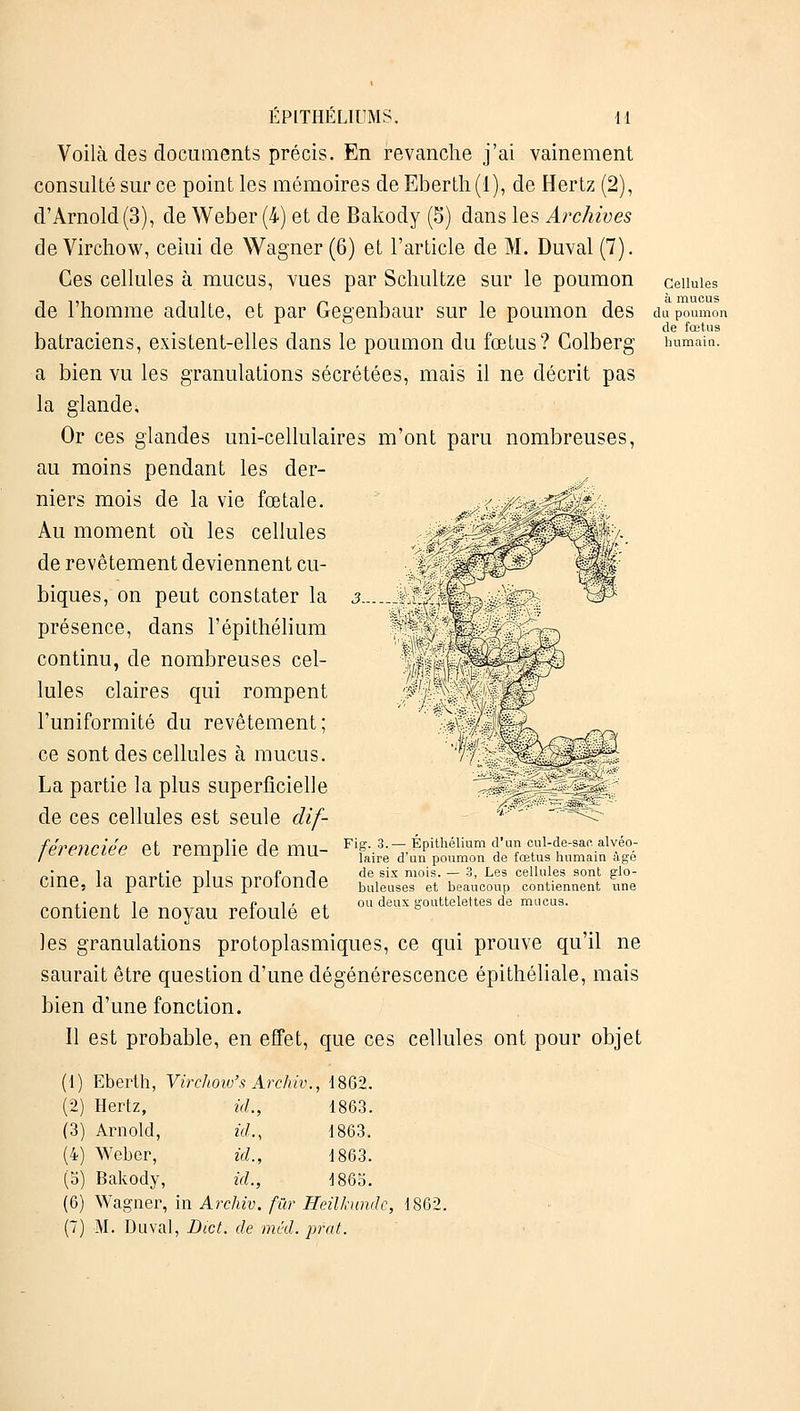 Cellules à mucus ÉPiTHÉLIUMS. il Voilà des documents précis. En revanche j'ai vainement consulté sur ce point les mémoires deEberth(l), de Hertz (2), d'Arnold (3), de Weber (4) et de Bakody (5) dans les Archives de Virchow, celui de Wagner (6) et l'article de M. Duval (7). Ces cellules à mucus, vues par Scliultze sur le poumon de l'homme adulte, et par Gegenbaur sur le poumon des du poumon de fœtus batraciens, existent-elles dans le poumon du foetus? Colberg humain. a bien vu les granulations sécrétées, mais il ne décrit pas la glande. Or ces glandes uni-cellulaires m'ont paru nombreuses, au moins pendant les der- niers mois de la vie fœtale. Au moment où les cellules de revêtement deviennent cu- biques, on peut constater la 3... présence, dans l'épithélium continu, de nombreuses cel- lules claires qui rompent l'uniformité du revêtement; ce sont des cellules à mucus. La partie la plus superficielle de ces cellules est seule dif- férenciée et remplie de mu- tine, la partie plus profonde contient le noyau refoulé et les granulations protoplasmiques, ce qui prouve qu'il ne saurait être question d'une dégénérescence épithéliale, mais bien d'une fonction. Il est probable, en effet, que ces cellules ont pour objet (1) Eberth, Virchow's Arcïiiv., 1862. (2) Hertz, id., 1863. (3) Arnold, id., 1863. (4) Weber, id., 1863. (5) Bakody, id., 4865. (6) Wagner, in Archiv. fur Heilhindc, 1862. (7) M. Duval, Bict. de méd. pfat. \ '-■ 'K m Fi 3.— Épithélium d'un cul-de-sac alvéo- faire d'un poumon de fœtus humain âgé de six mois. — 3, Les cellules sont glo- buleuses et beaucoup contiennent une ou deux gouttelettes de mucus.