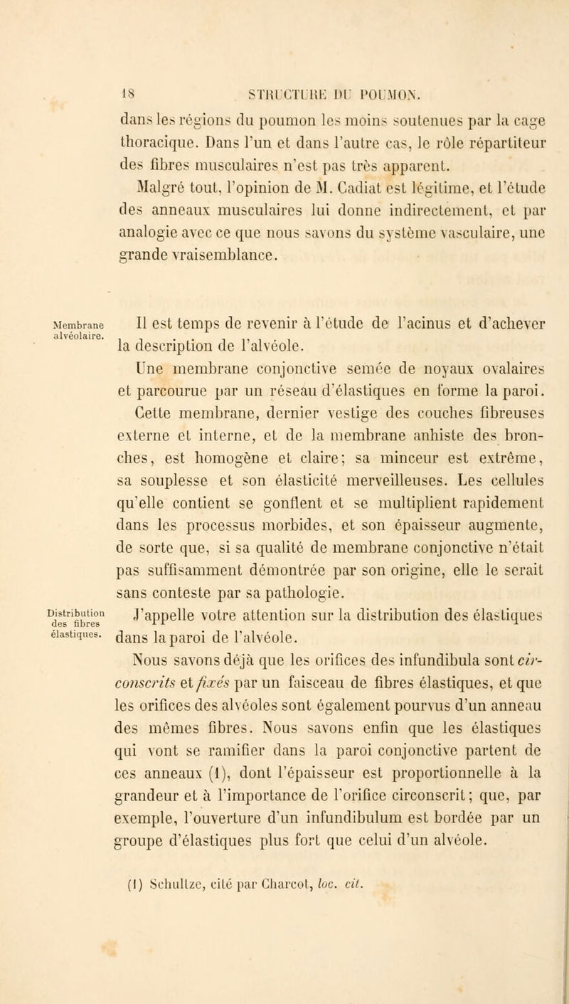 dans les régions du poumon les moins soutenues par la cage thoracique. Dans l'un et dans l'autre cas, le rôle répartiteur des fibres musculaires n'est pas très apparent. Malgré tout, l'opinion de M. Cadiat est légitime, et l'étude des anneaux musculaires lui donne indirectement, et par analogie avec ce que nous savons du système vasculaire, une grande vraisemblance. Membrane II est temps de revenir à l'étude de l'acinus et d'achever alvéolaire. . la description de 1 alvéole. Une membrane conjonctive semée de noyaux ovalaires et parcourue par un réseau d'élastiques en forme la paroi. Cette membrane, dernier vestige des couches fibreuses externe et interne, et de la membrane anhiste des bron- ches, est homogène et claire; sa minceur est extrême, sa souplesse et son élasticité merveilleuses. Les cellules qu'elle contient se gonflent et se multiplient rapidement dans les processus morbides, et son épaisseur augmente, de sorte que, si sa qualité de membrane conjonctive n'était pas suffisamment démontrée par son origine, elle le serait sans conteste par sa pathologie. ^'fibres «l'appelle votre attention sur la distribution des élastiques élastiques. ^ms japaroi de l'alvéole. Nous savons déjà que les orifices des infundibula sont cir- conscrits et fixés par un faisceau de fibres élastiques, et que les orifices des alvéoles sont également pourvus d'un anneau des mêmes fibres. Nous savons enfin que les élastiques qui vont se ramifier dans la paroi conjonctive partent de ces anneaux (1), dont l'épaisseur est proportionnelle à la grandeur et à l'importance de l'orifice circonscrit; que, par exemple, l'ouverture d'un infundibulum est bordée par un groupe d'élastiques plus fort que celui d'un alvéole. (I) Schullze, cité par Gharcot, lue. cit.