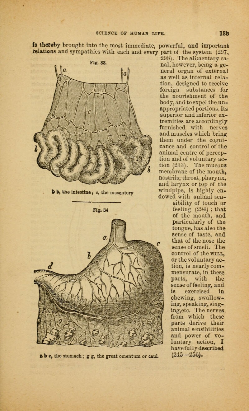 (8 thereby brought into the most immediate, powerful, and important relations and sympathies with each and every part of the system (297, 298). The alimentary ca- Flg- ^ nal, however, being a ge- neral organ of external as well as internal rela- tion, designed to receive foreign substances for the nourishment of the body, and to expel the un- appropriated portions, its superior and inferior ex- tremities are accordingly furnished with nerves and muscles which bring them under the cogni- zance and control of the animal centre of percep- tion and of voluntary ac- tion (238). The mucous membrane of the mouth, nostrils, throat, pharynx, and larynx or top of the windpipe, is highly en- dowed with animal sen- sibility of touch or feeling (294) ; that of the mouth, and particularly of the tongue, has also the sense of taste, and that of the nose the sense of smeli. The control of the will, or the voluntary ac- tion, is nearly com- mensurate, in these parts, with the sense of feeling, and is exercised in chewing, swallow- ing, speaking, sing- ing,etc. The nerves from which these parts derive their animal sensibilities and power of vo- luntary action, I have fully described ft b c, the stomach; g g, the great omentum or caul (24S—2cst>).