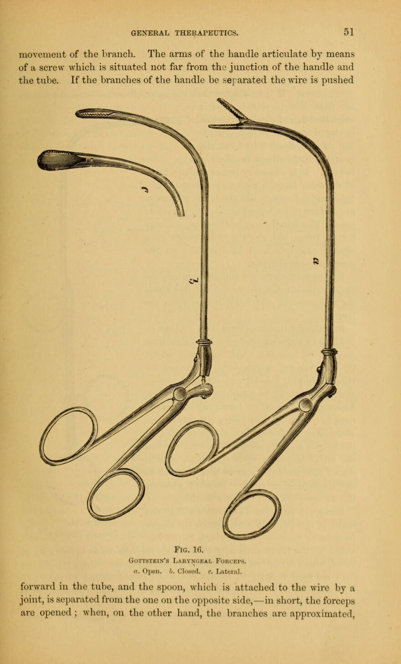 movement of the branch. The arms of the handle articulate by means of a screw which is situated not far from the junction of the handle and the tube. If the branches of the handle be separated the wire is pushed Fig. 1G. . i:i\\s I.\uyv.i:ai. PoBI ri- . ((pen. ''. ClowkL ft Lateral. forward in the tube, and the spoon, which is attached to the wire by a joint, is separated from the one on the opposite Bide, in short, the forceps are opened ; when, on the other hand, the branches are approximated,