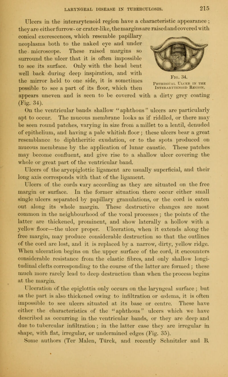 Ulcers in the interarytenoid region have a characteristic appearance ; they are either furrow- or crater-like, the margins are raised and covered with conical excrescences, which resemble papillary neoplasms both to the naked eye and under the microscope. These raised margins so surround the ulcer that it is often impossible to see its surface. Only with the head bent well back during deep inspiration, and with the mirror held to one side, it is sometimes _ * ' _ ,rur Phthimi Al. ULCBB in the possible to see a part of its floor, which then Ihtbrabytenoid Region. appears uneven and is seen to be covered with a dirty grey coating (Fig. 34). On the ventricular bands shallow aphthous ulcers are particularly apt to occur. The mucous membrane looks as if riddled, or there may be seen round patches, varying in size from a millet to a lentil, denuded of epithelium, and having a pale whitish floor ; these ulcers bear a great resemblance to diphtheritic exudation, or to the spots produced on mucous membrane by the application of lunar caustic. These patches may become confluent, and give rise to a shallow ulcer covering the whole or great part of the ventricular band. Ulcers of the aryepiglottic ligament are usually superficial, and their long axis corresponds with that of the ligament. Ulcers of the cords vary according as they are situated on the free margin or surface. In the former situation there occur either small single ulcers separated by papillary granulations, or the cord is eaten out along its whole margin. These destructive changes are most common in the neighbourhood of the vocal processes; the points of the latter are thickened, prominent, and show laterally a hollow with a yellow floor—the ulcer proper. Ulceration, when it extends along the free margin, may produce considerable destruction so that the outlines of the cord are lost, and it is replaced by a narrow, dirty, yellow ridge. When ulceration begins on the upper surface of the cord, it encounters considerable resistance from the elastic fibres, and only shallow longi- tudinal clefts corresponding to the course of the latter are formed ; these much more rarely lead to deep destruction than when the process begins at the margin, I Lceration of the epiglottis only occurs on the laryngeal surface ; but ;is the part is also thickened owing to infiltration or (edema, it is often impossible to see ulcers situated at its base or Centre. These have either the characteristics of the aphthous ulcers which we have described ;ts occurring in the ventricular bands, or they are deep and due to tubercular infiltration; in the latter case they are irregular in shape, with flat, irregular, or undermined edges (Fig. 3 Some authors (Ter Malm, Tiirck, and recently Schnitzler and 11