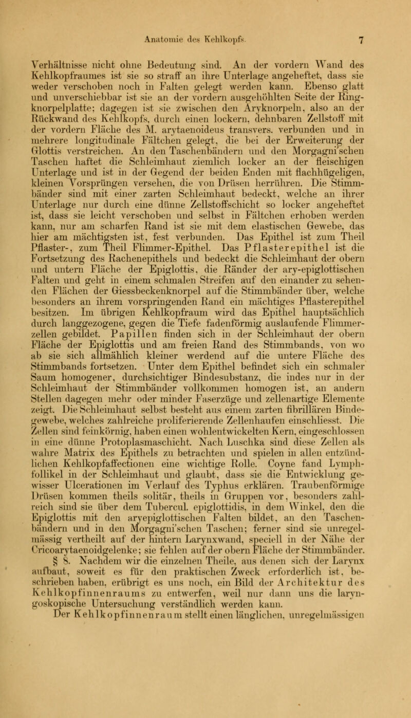 Verhältnisse nicht ohne Bedeutung sind. An der vordem Wand des Kehlkopfraumes ist sie so straff an ihre Unterlage angeheftet, dass sie weder verschoben noch in Falten gelegt werden kann. Ebenso glatt und unverschiebbar ist sie an der vordem ausgehöhlten Seite der Ring- knorpelplatte: dagegen ist sie zwischen den Arvknorpeln, also an der Rückwand des Kehlkopfs, durch einen lockern, dehnbaren Zellstoff mit der vordem Fläche des M. arytaenoideus transvers. verbunden und in mehrere longitudinale Fältchen gelebt, die bei der Erweiterung der Glottis verstreichen. An den Taschenbändern und den Morgagni'schen Taschen haftet die Schleimhaut ziemlich locker an der fleischigen Unterlage und ist in der Gegend der beiden Enden mit flachhügeligen, kleinen vorsprüngen versehen, die von Drüsen herrühren. Die Stimm- bänder sind mit einer zarten Schleimhaut bedeckt, welche an ihrer Unterlage nur durch eine dünne Zellstoffschicht so locker angeheftet ist, dass sie leicht verschoben und selbst in Fältchen erhoben werden kann, nur am scharfen Rand ist sie mit dem elastischen Gewebe, das hier am mächtigsten ist, fest verbunden. Das Epithel ist zum Theil Pflaster-, zum Theil Flimmer-Epithel. Das Pflaster epithel ist die Fortsetzung des Rachenepithels und bedeckt die Schleimhaut der obern und untern Fläche der Epiglottis. die Ränder der ary-epiglottischen Falten und geht in einem schmalen Streifen auf den einander zu sehen- den Flächen der Giessbeckenknorpel auf die Stimmbänder über, welche besonders an ihrem vorspringenden Rand ein mächtiges Pflasterepithel besitzen. Im übrigen Kehlkopfraum wird das Epithel hauptsächlich durch langgezogene, gegen die Tiefe fadenförmig auslaufende Flimmer- zellen gebildet. Papillen finden sich in der Schleimhaut der obern Fläche der Epiglottis und am freien Rand des Stimmbands, von wo ab sie sich allmählich kleiner werdend auf die untere Fläche des Stinunbands fortsetzen. Unter dem Epithel befindet sich ein schmaler Saum homogener, durchsichtiger Bindesubstanz, die indes nur in der Schleimhaut der Stimmbänder vollkommen homogen ist, an andern Stellen dagegen mehr oder minder Faserzüge und zellenartige Element«- zeigt. Die Schleimhaut selbst besteht aus einem zarten fibrillären Binde- gewebe, welches zahlreiche proliferierende Zellenhaufen einschliesst. Die Zellen sind feinkörnig, haben einen wohlentwickelten Kern, eingeschlossen in eine dünne Protoplasmaschicht, Nach Luschka sind diese Zellen als wahre Matrix des Epithels zu betrachten und spielen in allen entzünd- lichen Kehlkopfaffectionen eine wichtige Rolle. Co}me fand Lymph- follikel in der Schleimhaut und glaubt, dass sie die Entwicklung ge- wisser Ulcerationen im Verlauf des Typhus erklären. Traubenformige Drüsen kommen theils solitär, theils in Gruppen vor, besonders zahl- reich sind sie über dem Tubercul. epiglottidis. in dem Winkel, den die Upiglottis mit den aryepiglottischen Falten bildet, an den Taschen- bändern und in den Morgagni'schen Taschen; ferner sind sie unregel- mässig vertheilt auf der hintern Larynxwand, speciell in der Nähe der <ricoarytaenoid<jelenke; sie fehlen auf der obern Fläche der Stimmbänder. § 8. Nachdem wir die einzelnen Theile. ans denen sieh der L;tr\n\ aufbaut, soweit es für den praktischen Zweck erforderlich ist. be- schrieben haben, erübrigt es uns noch, ein Bild der Architektur des Kehlkopfinnenraums zu entwerfen, weil nur dann uns die laryn- goskopische Untersuchung verständlich werden kann. Der Kehlkopfin neu ra u m stellt einen länglichen, anregelmässigen