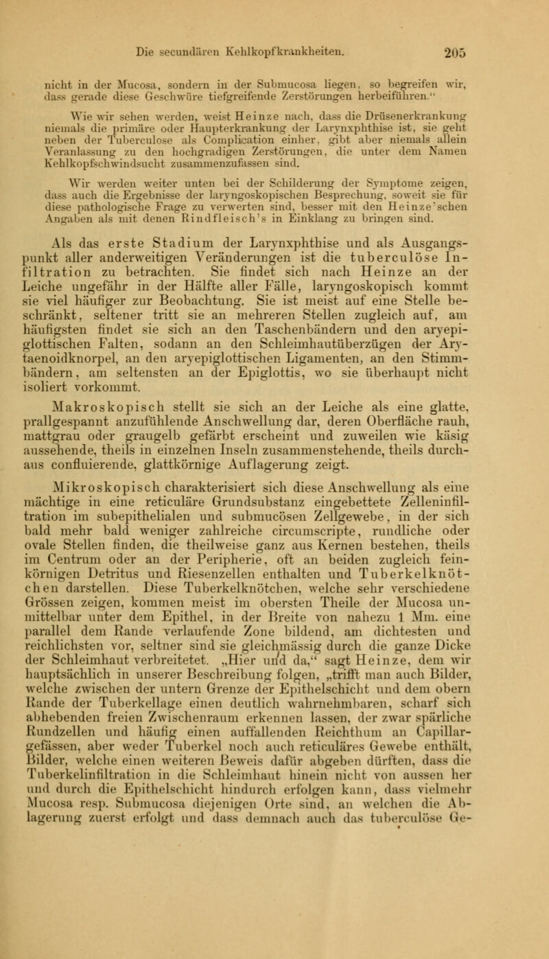 nicht in der Mucosa, sondern in der Snbmucosa liegen, so begreifen wir, dass gerade diese Geschwüre tiefgreifende Zerstörungen herbeiführen.•• Wie wir sehen werden, weist Heinze nach, dass die Drüsenerkrankung niemals die primäre oder Haupterkrankung der Larynxphthise ist, sie geht neben der Tuberculose als Complication einher, gibt aber niemals allein Veranlassung zu den hochgradigen Zerstörungen, die unter dem Namen hVhlki»p&chwindsucht zusammenzufassen sind. Wir werden weiter unten bei der Schilderung der Symptome zeigen, <hi-- auch die Ergebnisse der laryngoskopischen Besprechung, soweit sie für diese pathologische Frage zu verwerten sind, besser mit den Heinze1 sehen Angaben als mit denen Rindfleisch s in Einklang zu bringen sind. Als das erste Stadium der Larynxphthise und als Ausgangs- punkt aller anderweitigen Veränderungen ist die tuberculose In- filtration zu betrachten. Sie findet sich nach Heinze an der Leiche ungefähr in der Hälfte aller Fälle, laryngoskopisch kommt sie viel häufiger zur Beobachtung. Sie ist meist auf eine Stelle be- schränkt, seltener tritt sie an mehreren Stellen zugleich auf, am häufigsten findet sie sich an den Taschenbändern und den arvepi- glottischen Falten, sodann an den Schleimhautüberzügen der Arv- taenoidknorpel, an den aryepiglottischen Ligamenten, an den Stimm- bändern, am seltensten an der Epiglottis, wo sie überhaupt nicht isoliert vorkommt. Makroskopisch stellt sie sich an der Leiche als eine glatte, prallgespannt anzufühlende Anschwellung dar, deren Oberfläche rauh, mattgrau oder graugelb gefärbt erscheint und zuweilen wie käsig aussehende, theils in einzelnen Inseln zusammenstehende, theils durch- aus confluierende, glattkörnige Auflagerung zeigt. Mikroskopisch charakterisiert sich diese Anschwellung als eine mächtige in eine reticuläre Grundsubstanz eingebettete Zelleninfil- tration im subepithelialen und submucösen Zellgewebe, in der sich bald mehr bald weniger zahlreiche circumscripte, rundliche oder ovale Stellen finden, die theilweise ganz aus Kernen bestehen, theils im Centrum oder an der Peripherie, oft an beiden zugleich fein- körnigen Detritus und Riesenzellen enthalten und Tuberkelknöt- chen darstellen. Diese Tuberkelknötchen, welche sehr verschiedene Grössen zeigen, kommen meist im obersten Theile der Mucosa un- mittelbar unter dem Epithel, in der Breite von nahezu 1 Mm. eine parallel dem Rande verlaufende Zone bildend, am dichtesten und reichlichsten vor, seltner sind sie gleichmässig durch die ganze Dicke der Schleimhaut verbreitetet. „Hier und da, sagt Heinze, dem wir hauptsächlich in unserer Beschreibung folgen, „trifft man auch Bilder, welche zwischen der untern Grenze der Epithelschicht und dem obern Rande der Tuberkellage einen deutlich wahrnehmbaren, scharf sich abhebenden freien Zwischenraum erkennen lassen, der zwar Bpärliche Rundzellen und häufig einen auffallenden Reichthuin an Capillar- uv fassen, aber weder Tuberkel noch auch reticuISres Gewebe enthält. Bilder, welche einen weiteren Beweis dafür abgeben dürften, dass die Tuberkelinfiltration in die Schleimhaut hinein nicht von aussen her und durch die Epithelschicht hindurch erfolgen kann, dass vielmehr Mucosa res]». Sulmiucosa diejenigen Orte sind, an welchen die Alt- lagerung zurrst erfolgt und dass demnach auch das tuberculose <»<■-
