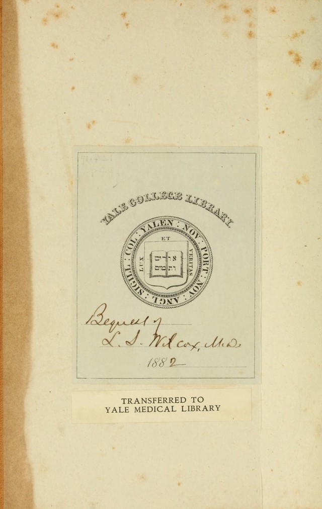 digitised image 2