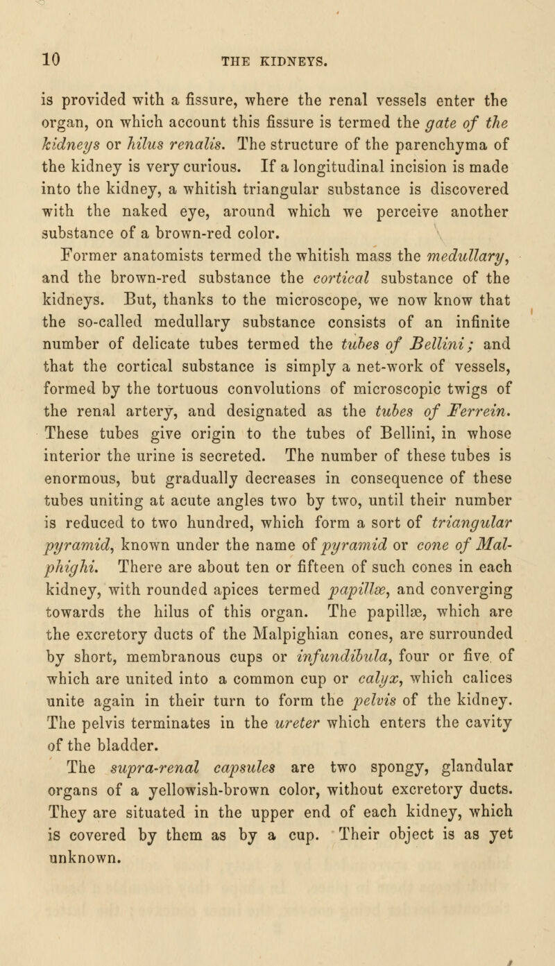 is provided with a fissure, where the renal vessels enter the organ, on which account this fissure is termed the gate of the kidneys or hilus renalis. The structure of the parenchyma of the kidney is very curious. If a longitudinal incision is made into the kidney, a whitish triangular substance is discovered with the naked eye, around which we perceive another substance of a brown-red color. Former anatomists termed the whitish mass the medullary, and the brown-red substance the cortical substance of the kidneys. But, thanks to the microscope, we now know that the so-called medullary substance consists of an infinite number of delicate tubes termed the tubes of Bellini; and that the cortical substance is simply a net-work of vessels, formed by the tortuous convolutions of microscopic twigs of the renal artery, and designated as the tubes of Ferrein. These tubes give origin to the tubes of Bellini, in whose interior the urine is secreted. The number of these tubes is enormous, but gradually decreases in consequence of these tubes uniting at acute angles two by two, until their number is reduced to two hundred, which form a sort of triangular pyramid, known under the name of pyramid or cone of Mal- phighi. There are about ten or fifteen of such cones in each kidney, with rounded apices termed papillse, and converging towards the hilus of this organ. The papillae, which are the excretory ducts of the Malpighian cones, are surrounded by short, membranous cups or infundibula, four or five, of which are united into a common cup or calyx, which calices unite again in their turn to form the pelvis of the kidney. The pelvis terminates in the ureter which enters the cavity of the bladder. The supra-renal capsules are two spongy, glandular organs of a yellowish-brown color, without excretory ducts. They are situated in the upper end of each kidney, which is covered by them as by a cup. Their object is as yet unknown.