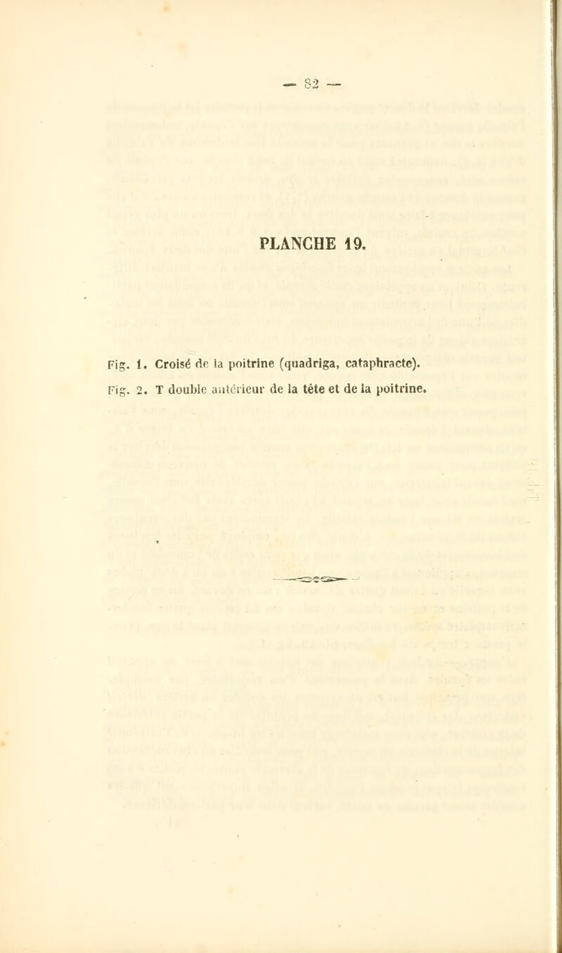 PLANCHE 19. Fig. i. Croisé de ia poitrine (quadriga, cataphracte). Fig. 2. T double antérieur de la tète et de la poitrine.