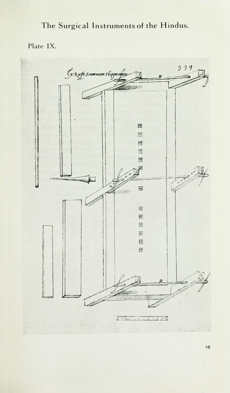 Plate IX. ■; '}i 7171