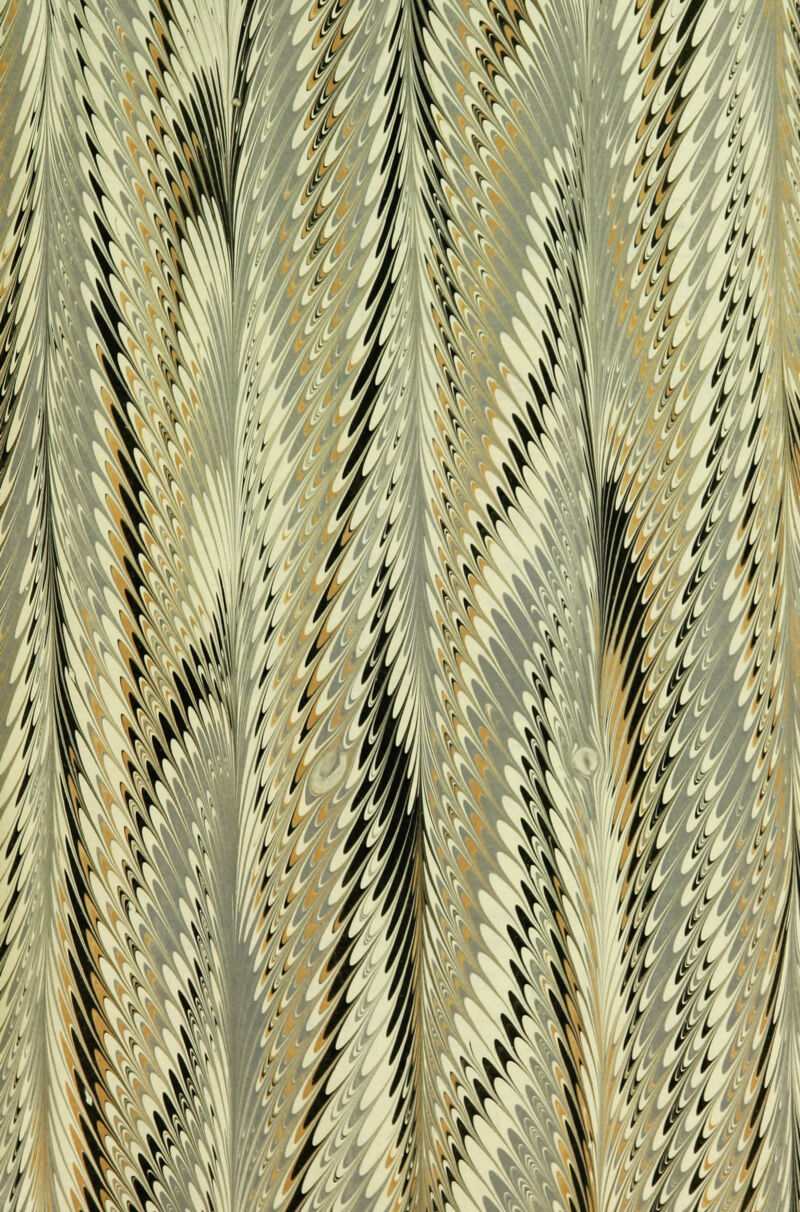 vvji IL h VSk W i \ » / * # i t i